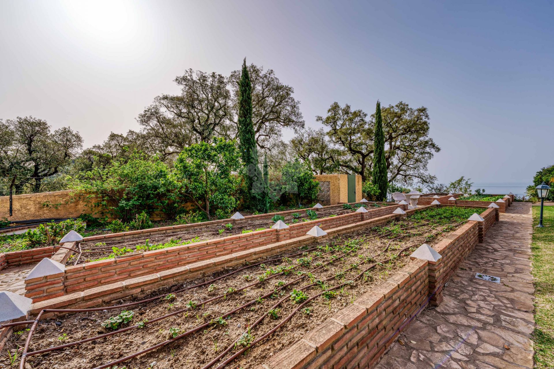 Finca en La Mairena, Marbella