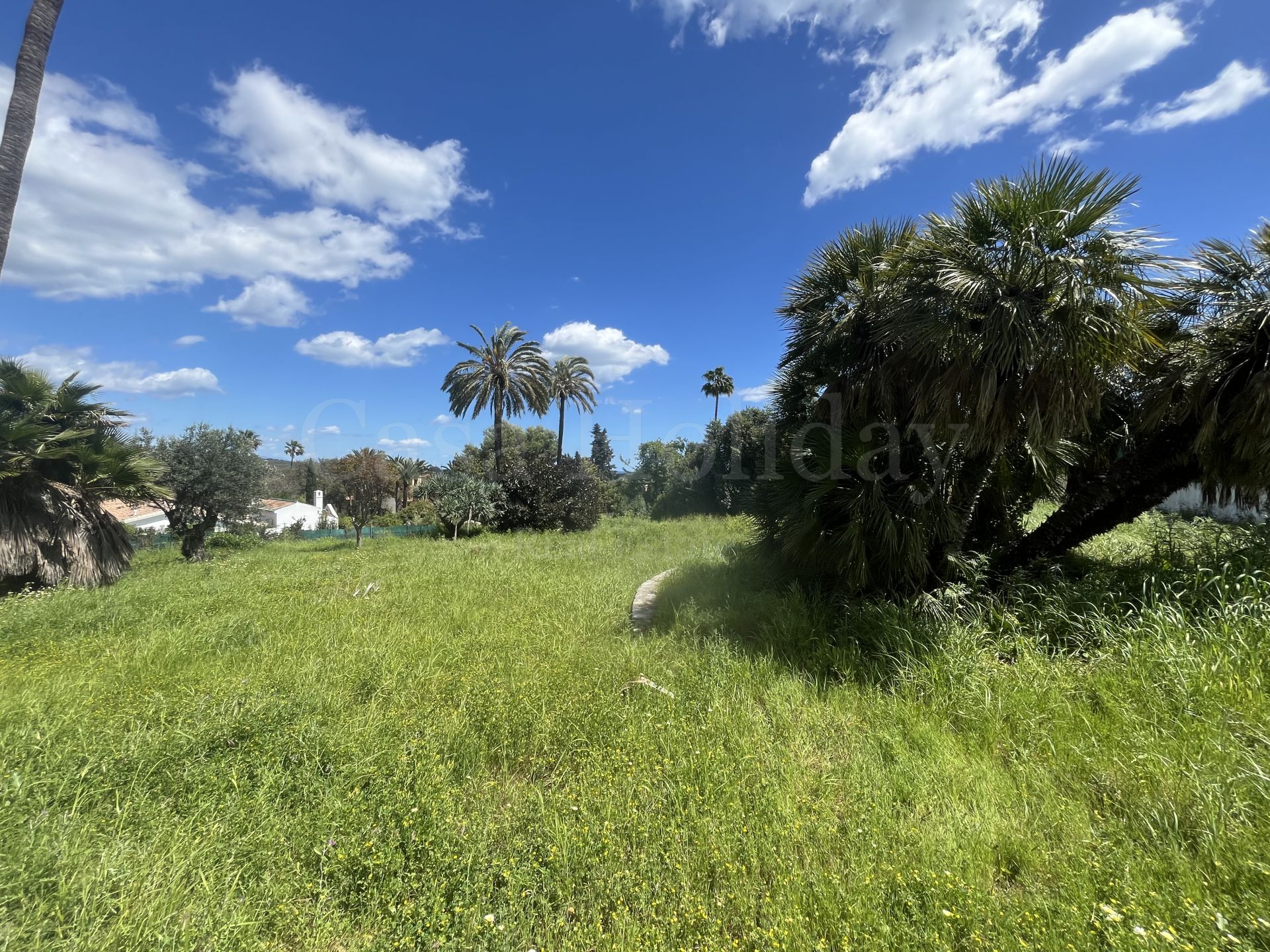 Plot in Sotogrande Costa, Sotogrande