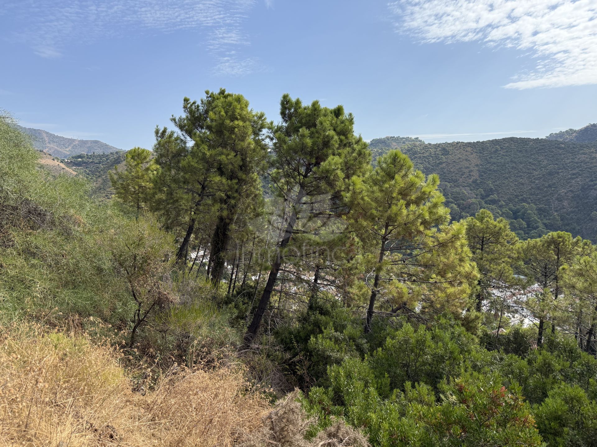 Parcela en Benahavis Centro, Benahavis