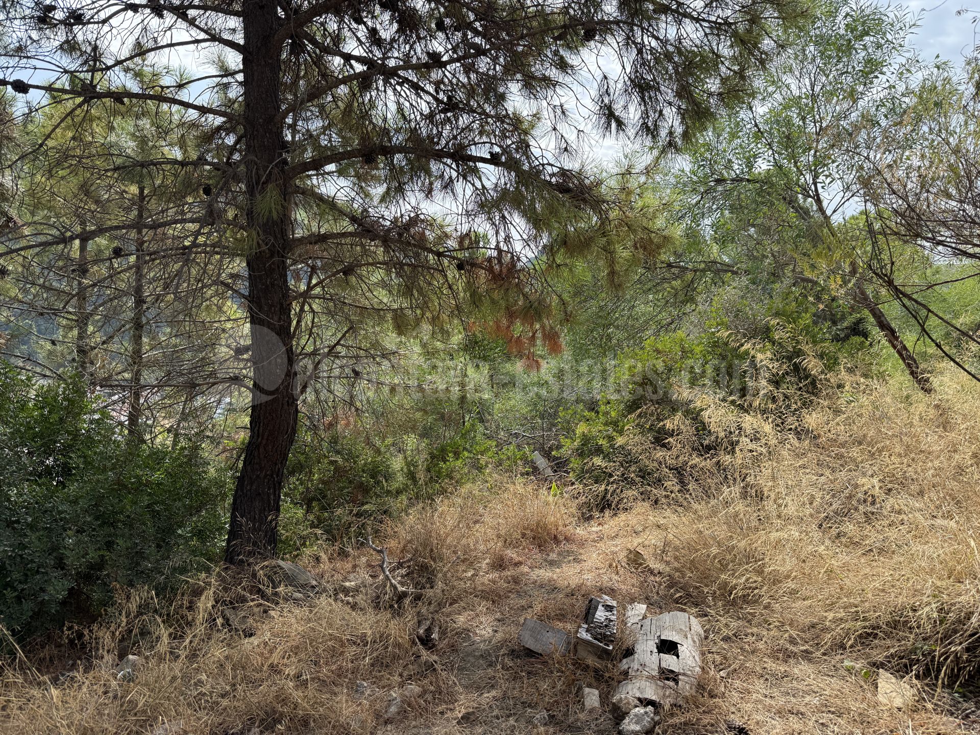 Plot in Benahavis Centro, Benahavis