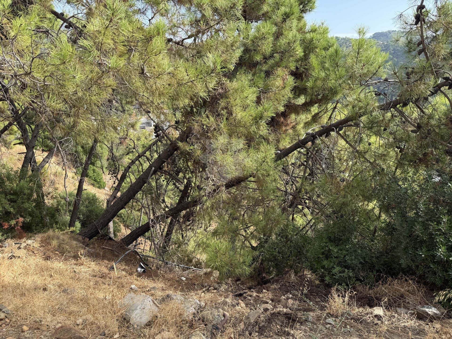 Plot in Benahavis Centro, Benahavis