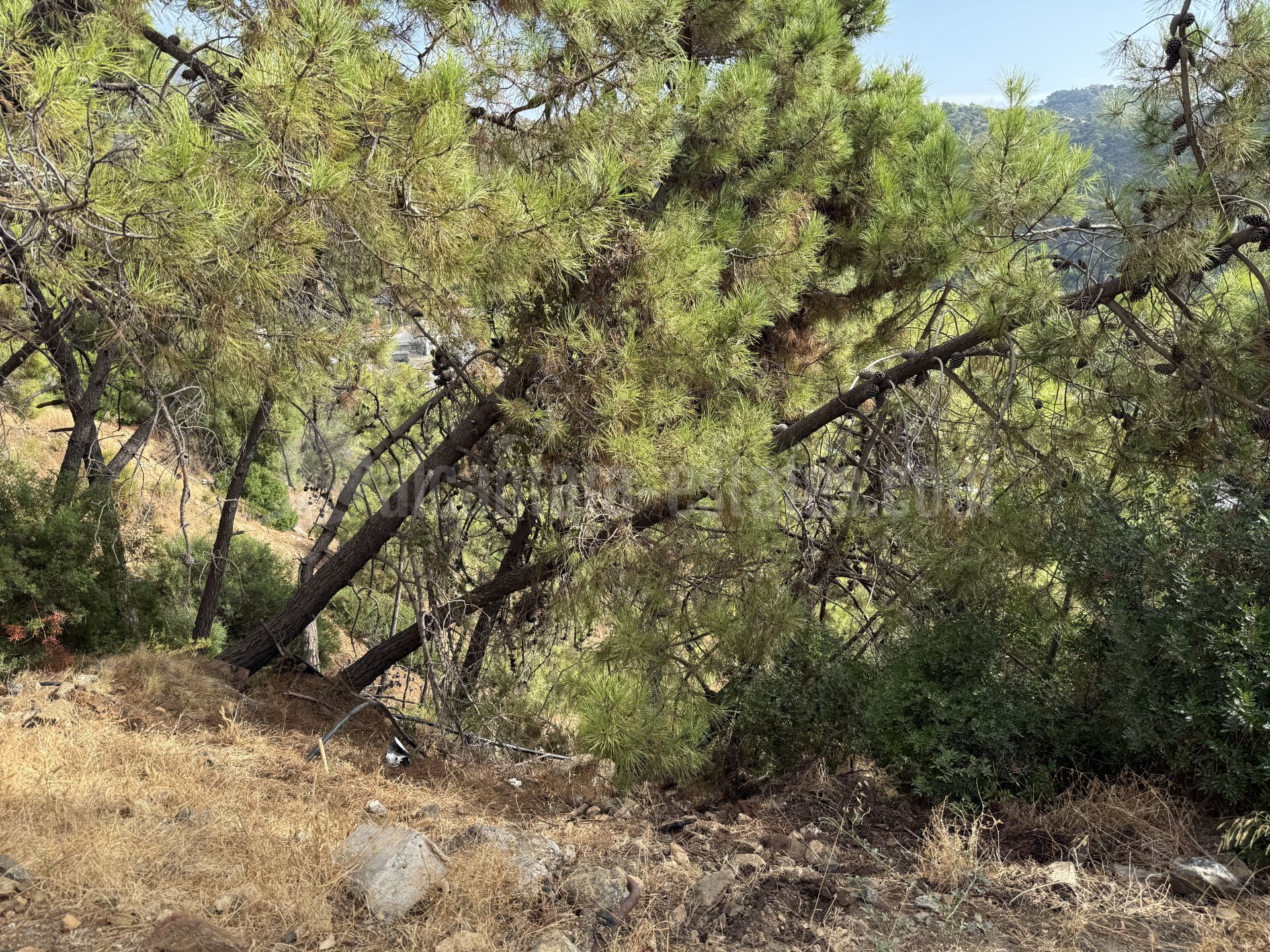 Plot in Benahavis Centro, Benahavis