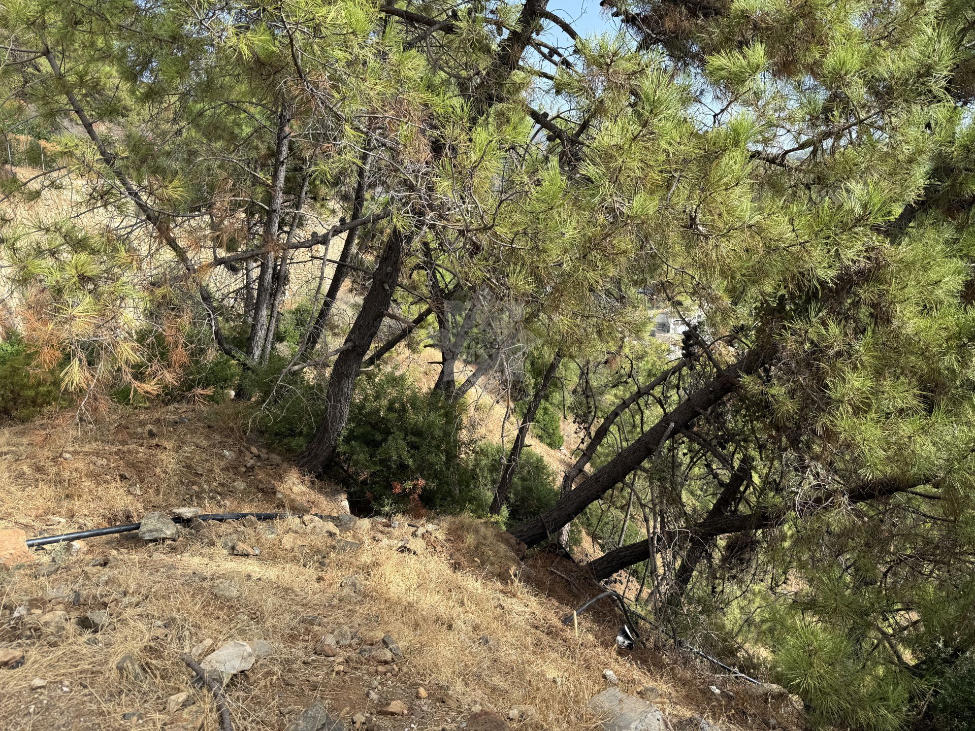 Plot in Benahavis Centro, Benahavis