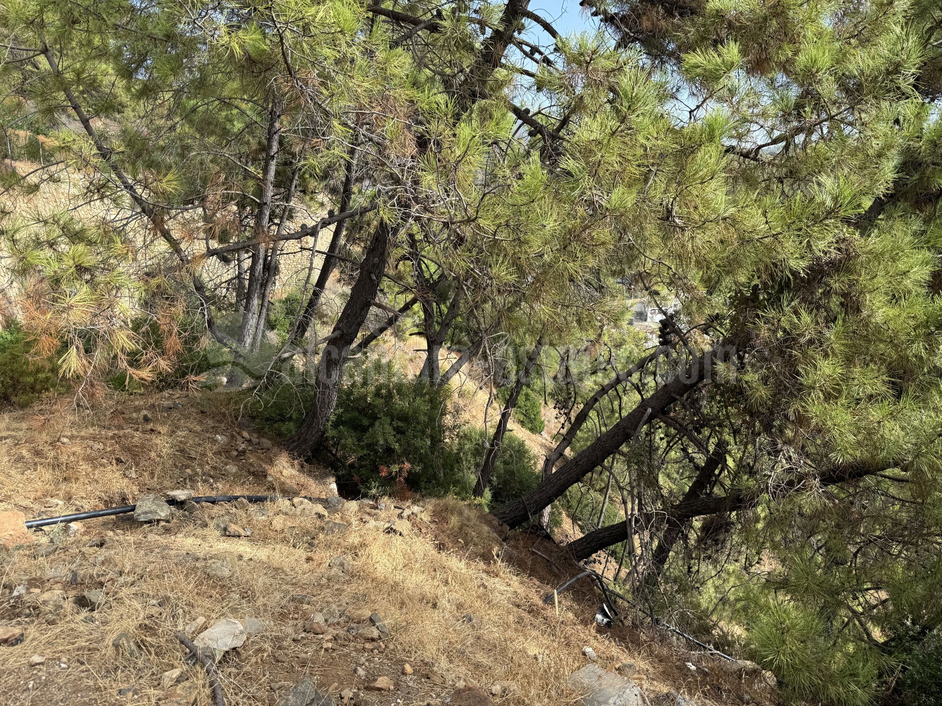Plot in Benahavis Centro, Benahavis