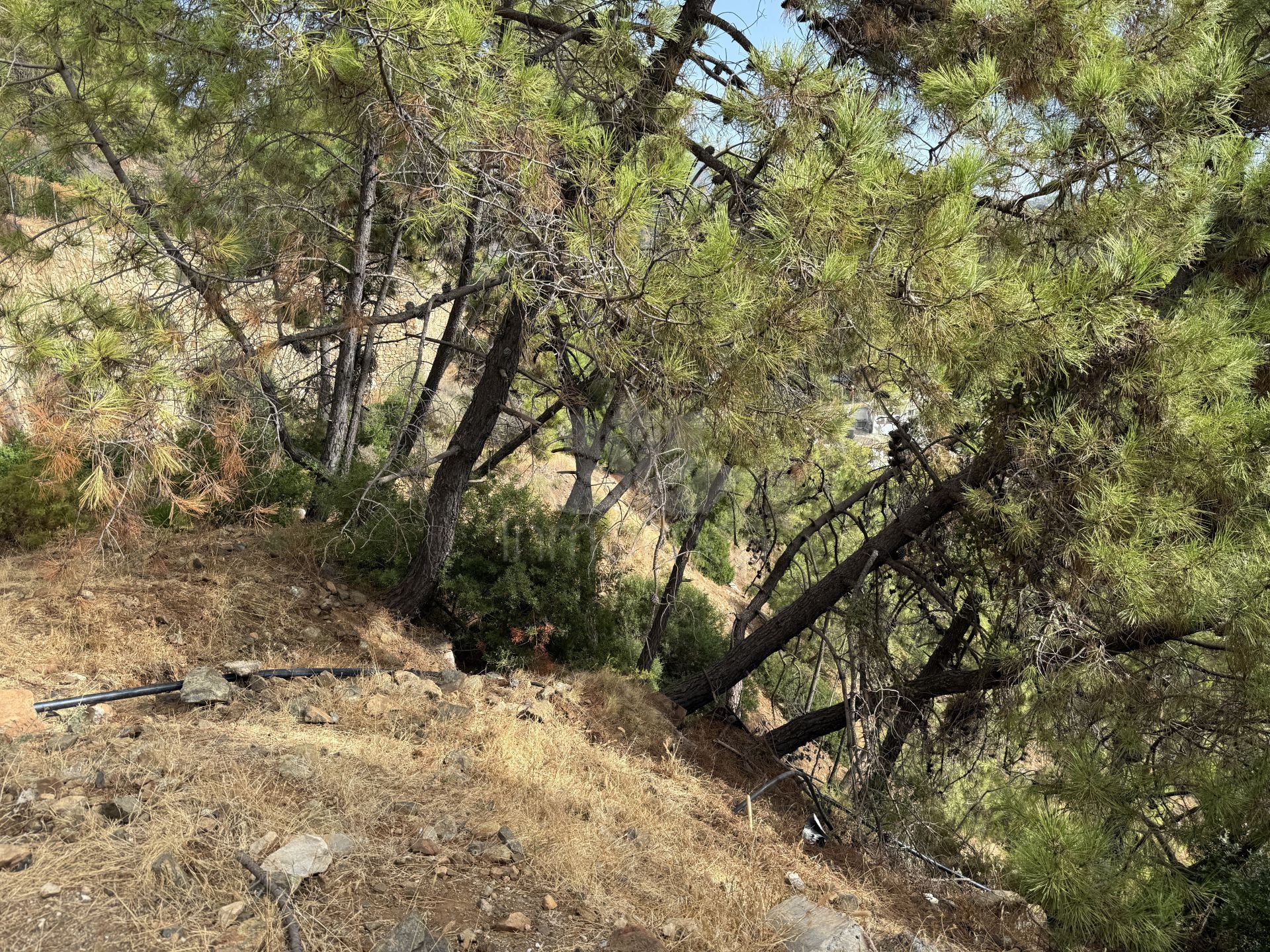 Parcela en Benahavis Centro, Benahavis