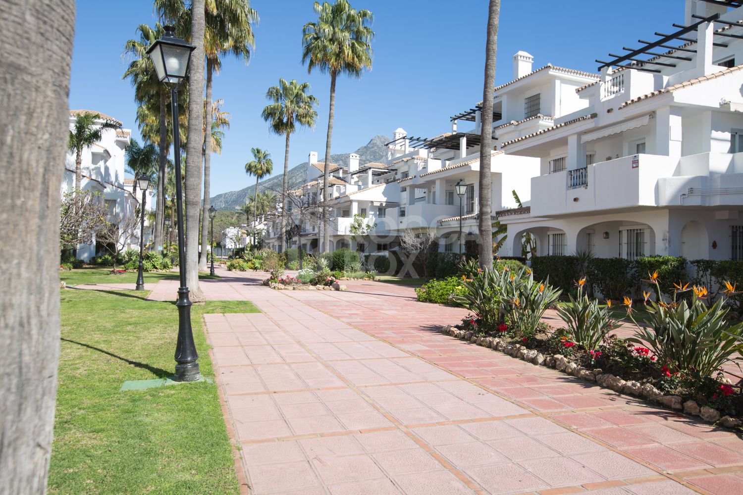 Renovated Corner Townhouse in Los Naranjos | Views of La Concha and 5 min from Puerto Banús