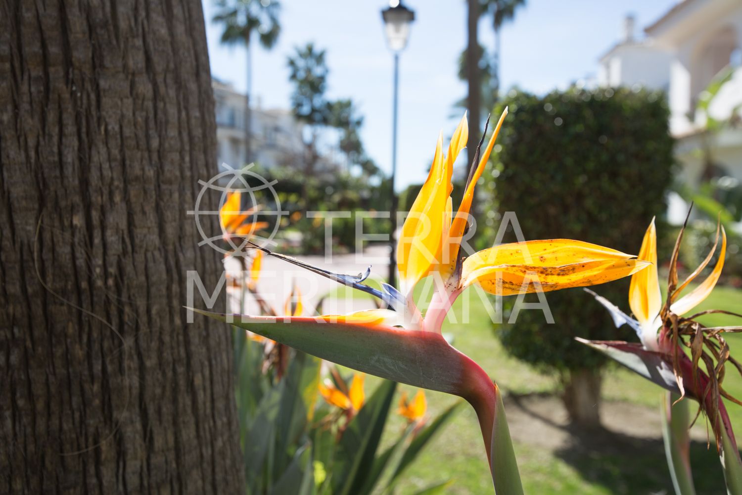 Town House in Los Naranjos, Marbella