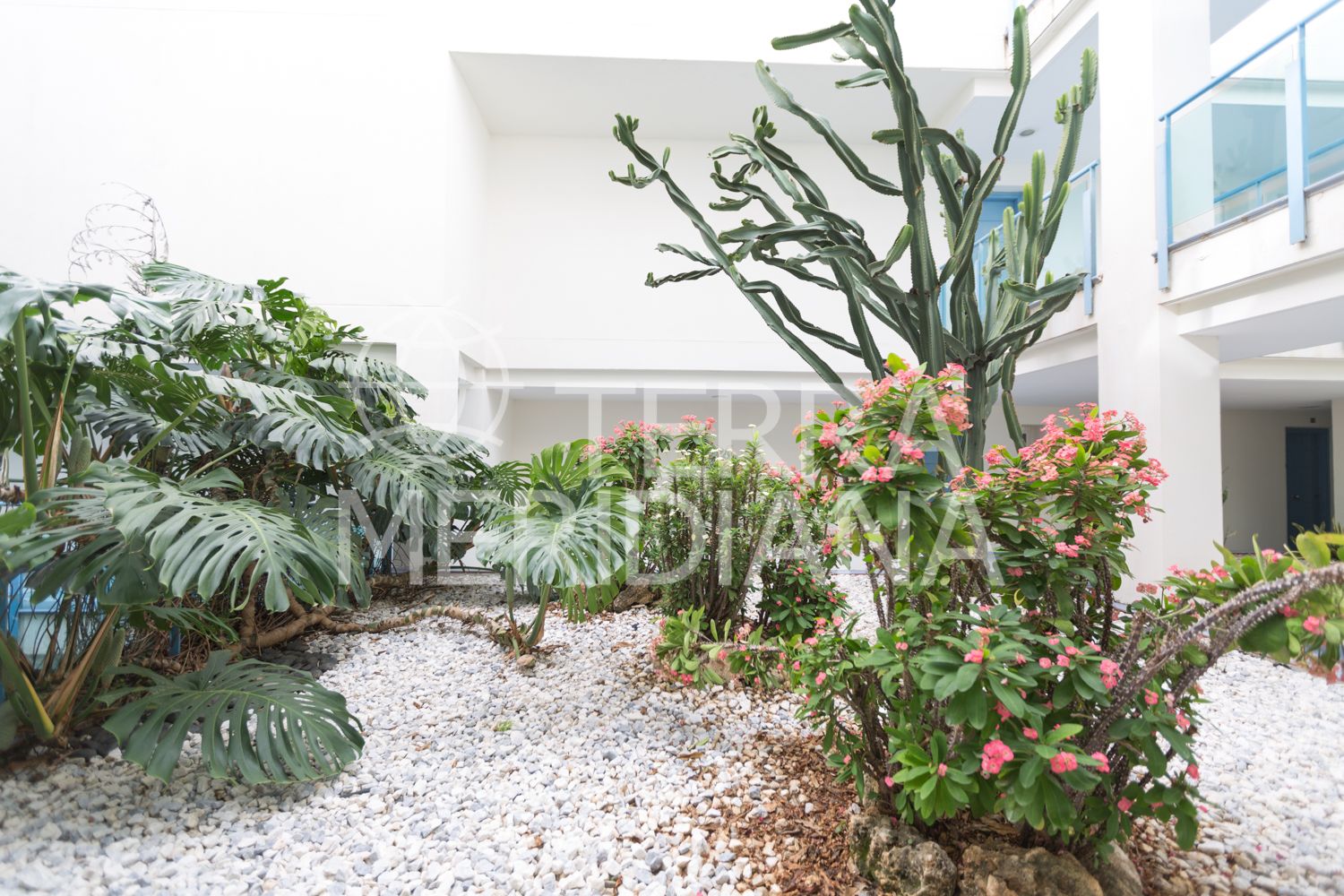 Apartment in Terrazas del Rodeo, Marbella