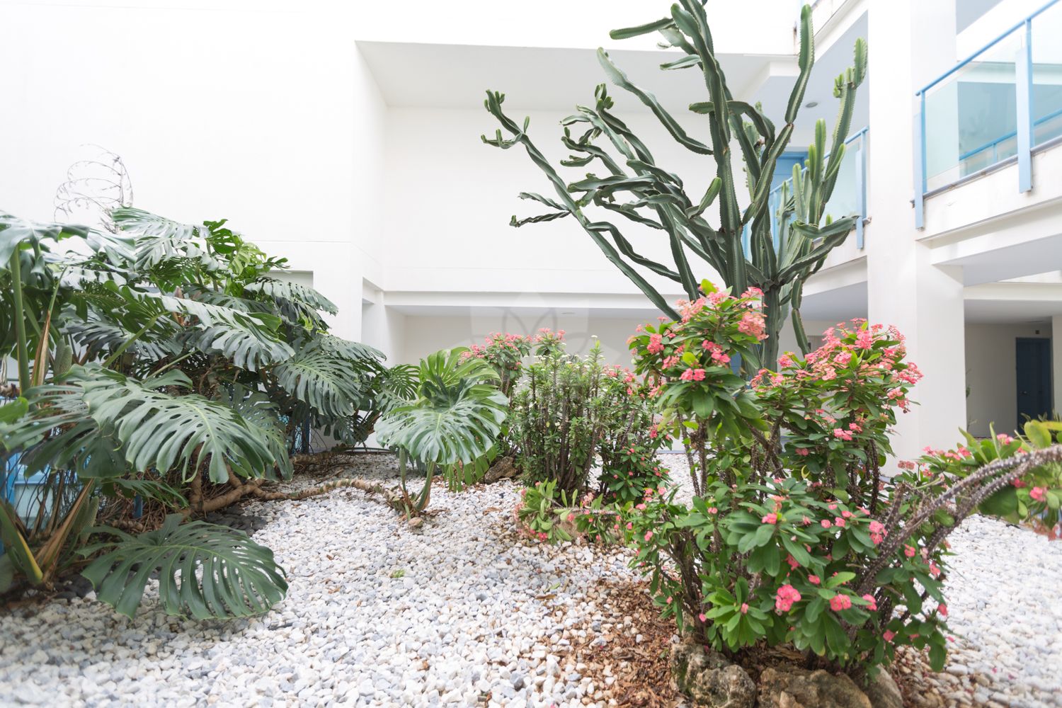 Apartment in Terrazas del Rodeo, Marbella