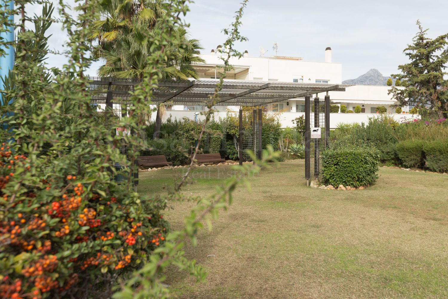 Apartamento en Terrazas del Rodeo, Marbella