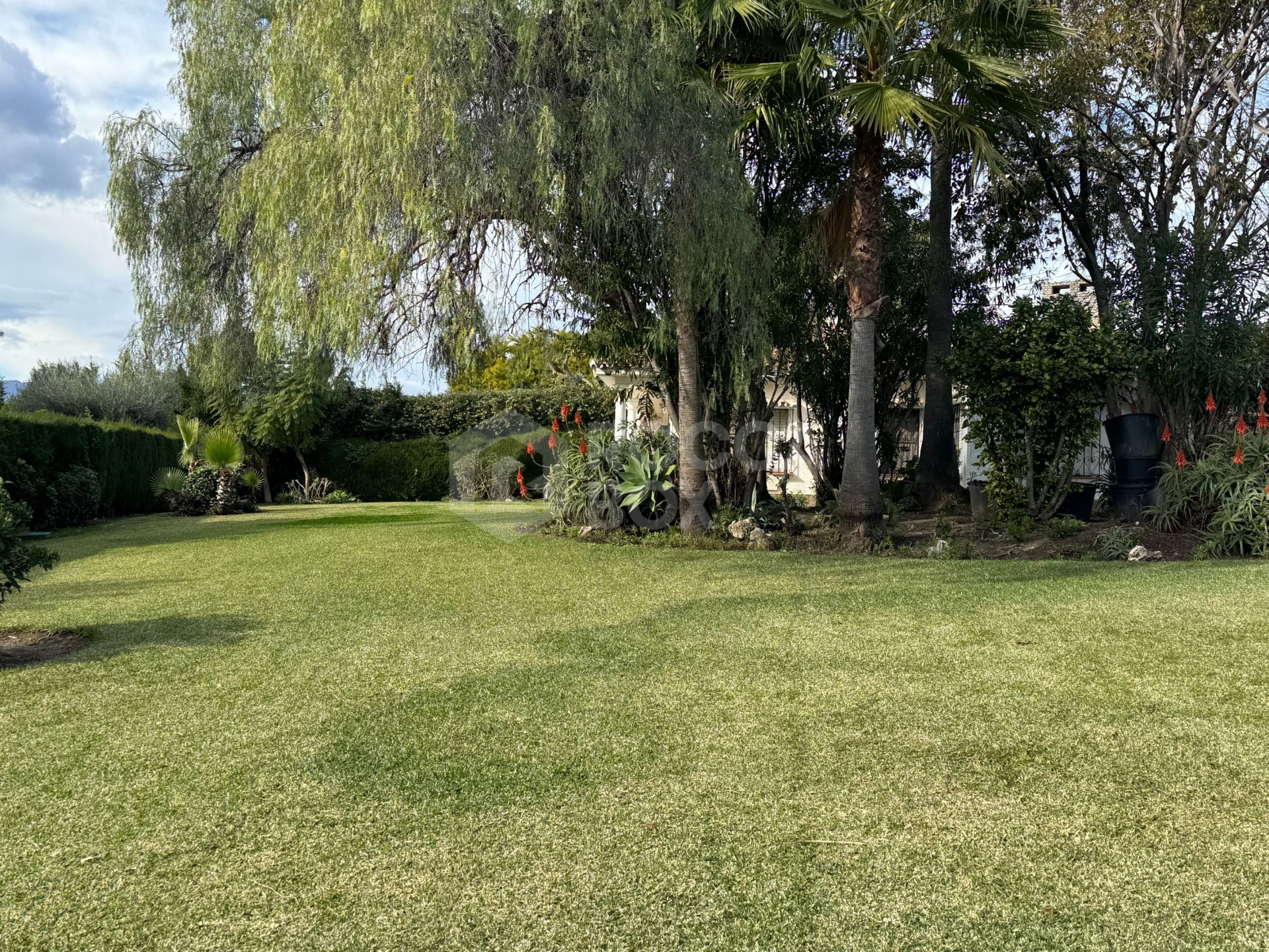 Charming villa with great potential in Middle Paradise – New Golden Mile