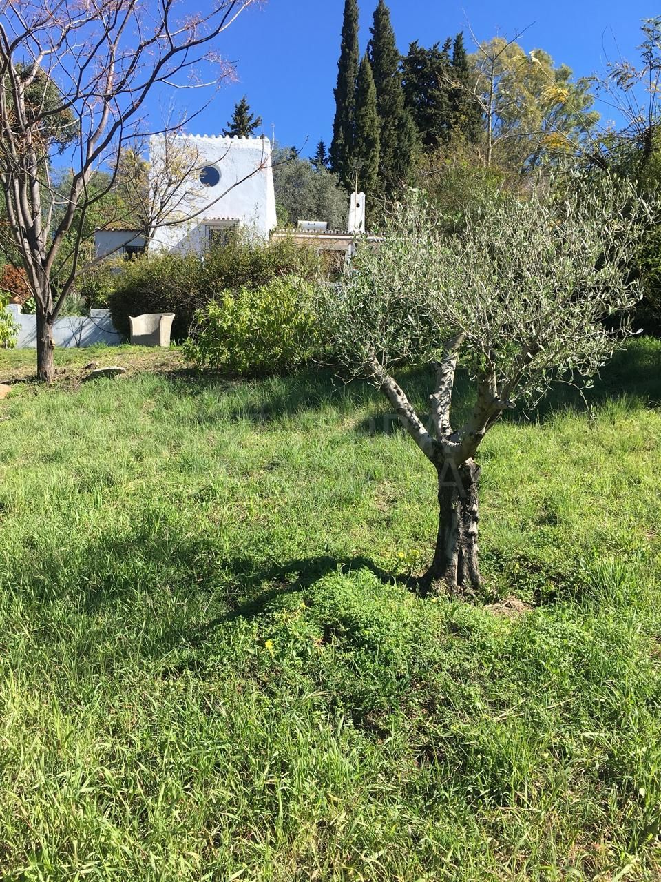 Finca in El Padron, Estepona