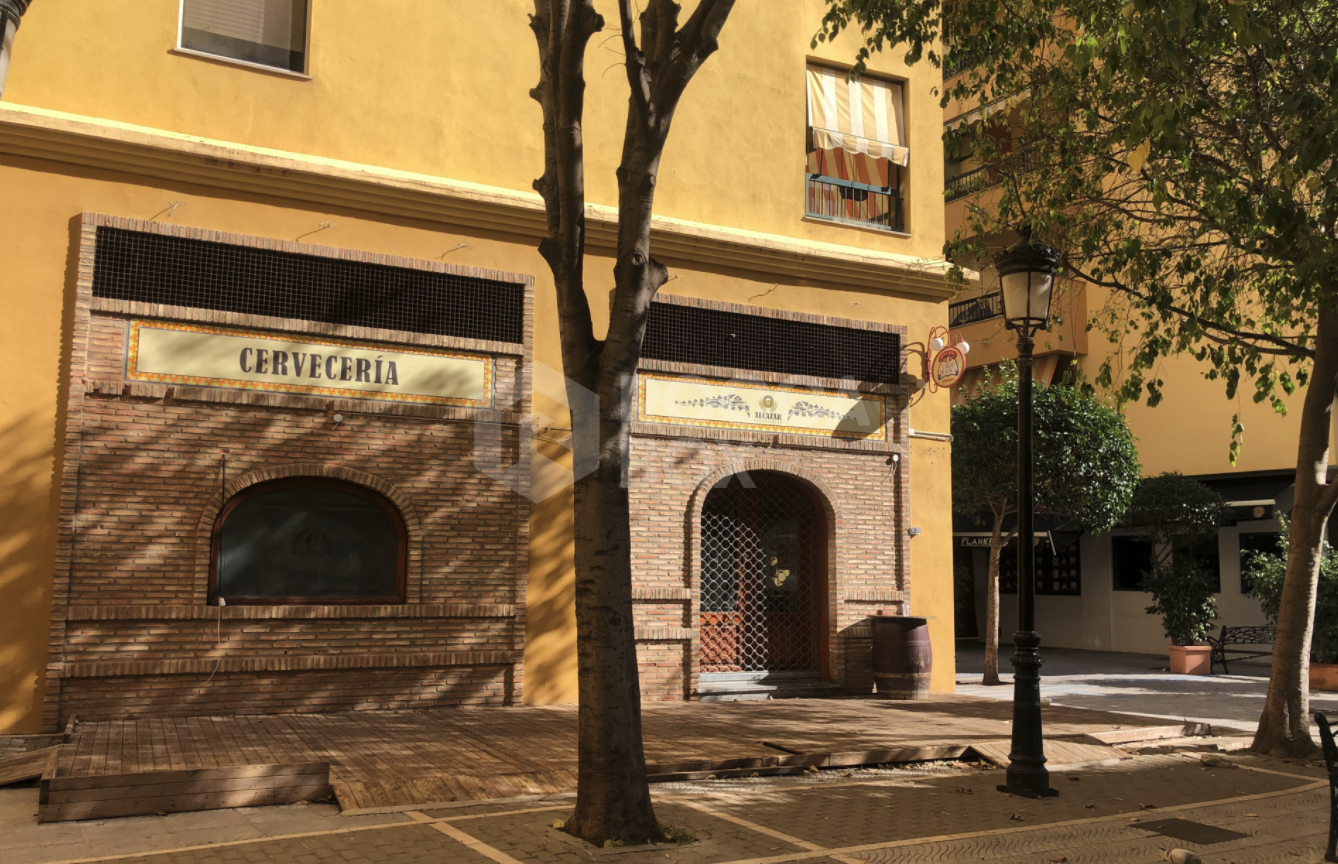 Gran Local Comercial with infinite possibilities - San Pedro de Alcántara