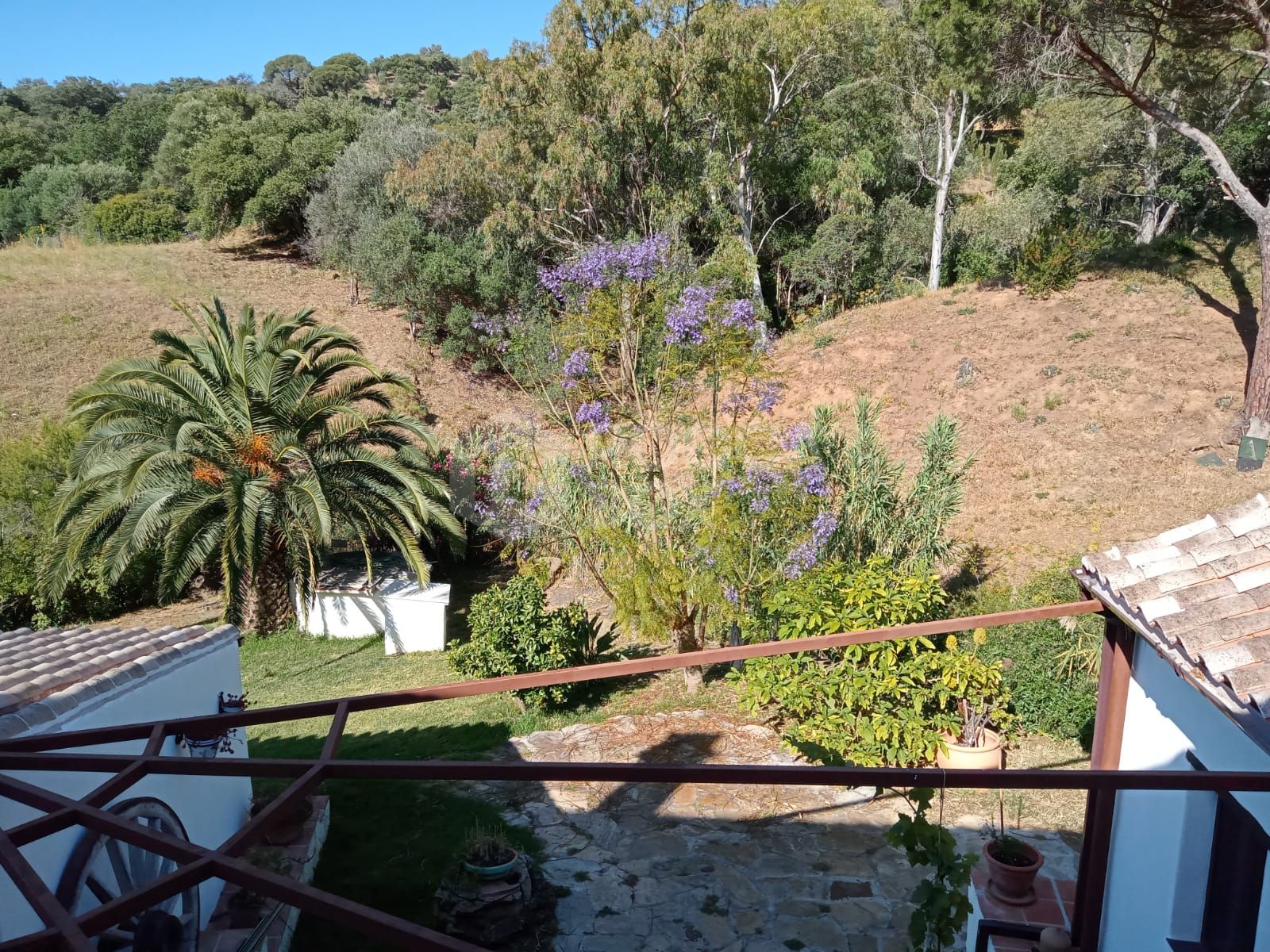 Charming Andalusian Finca in Casares