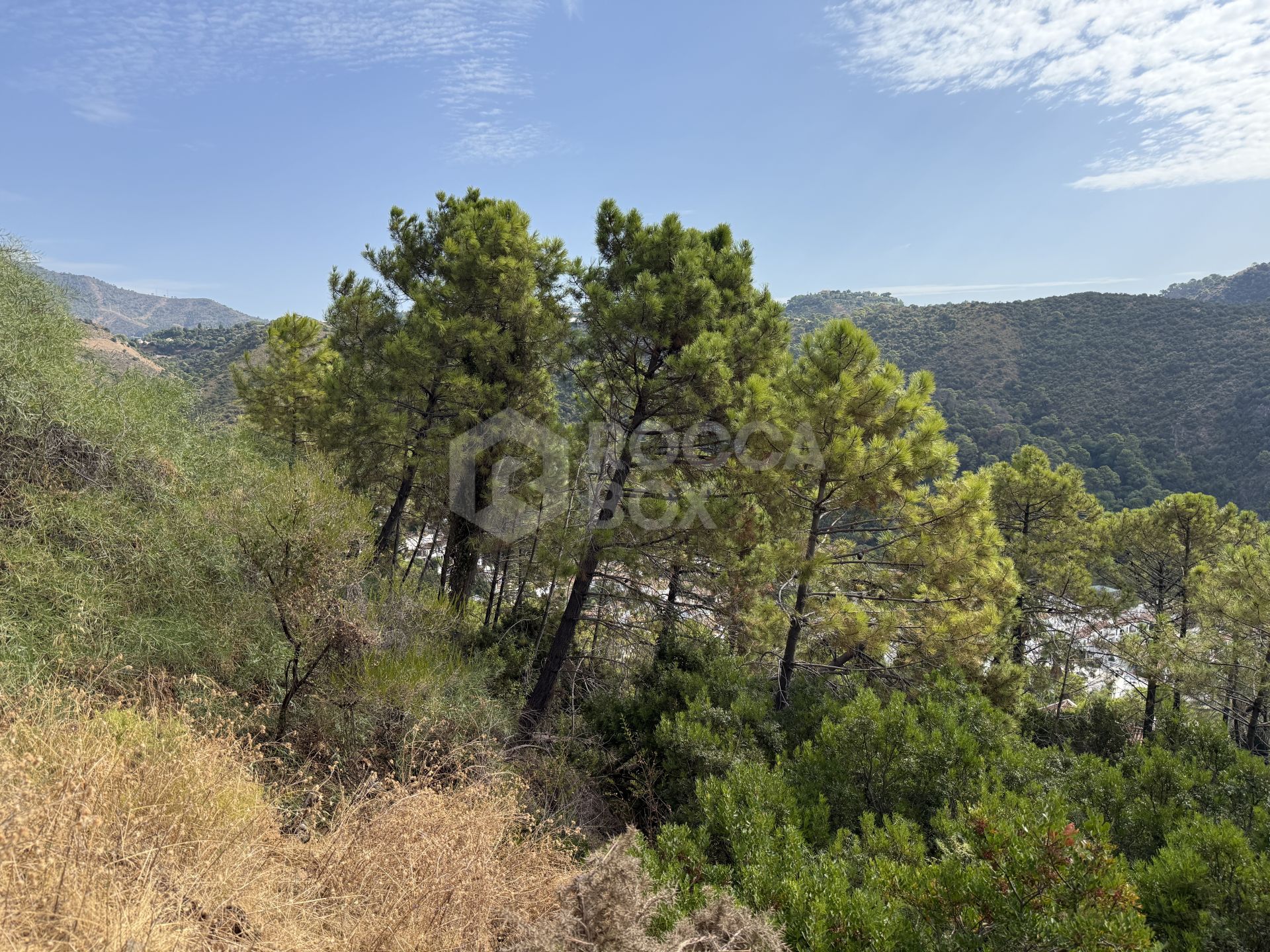 Unique Opportunity – Unconsolidated Urban Land in Benahavís with Spectacular Views