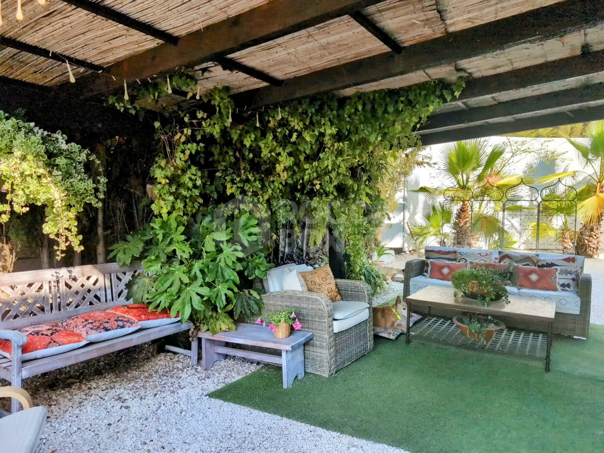 Dreaming property with sea views