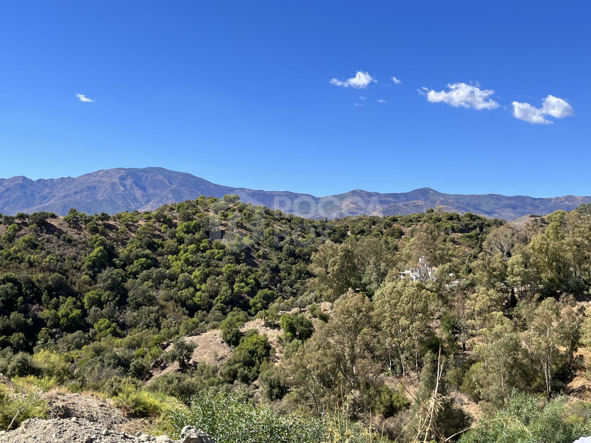 Plot for sale in Estepona Este