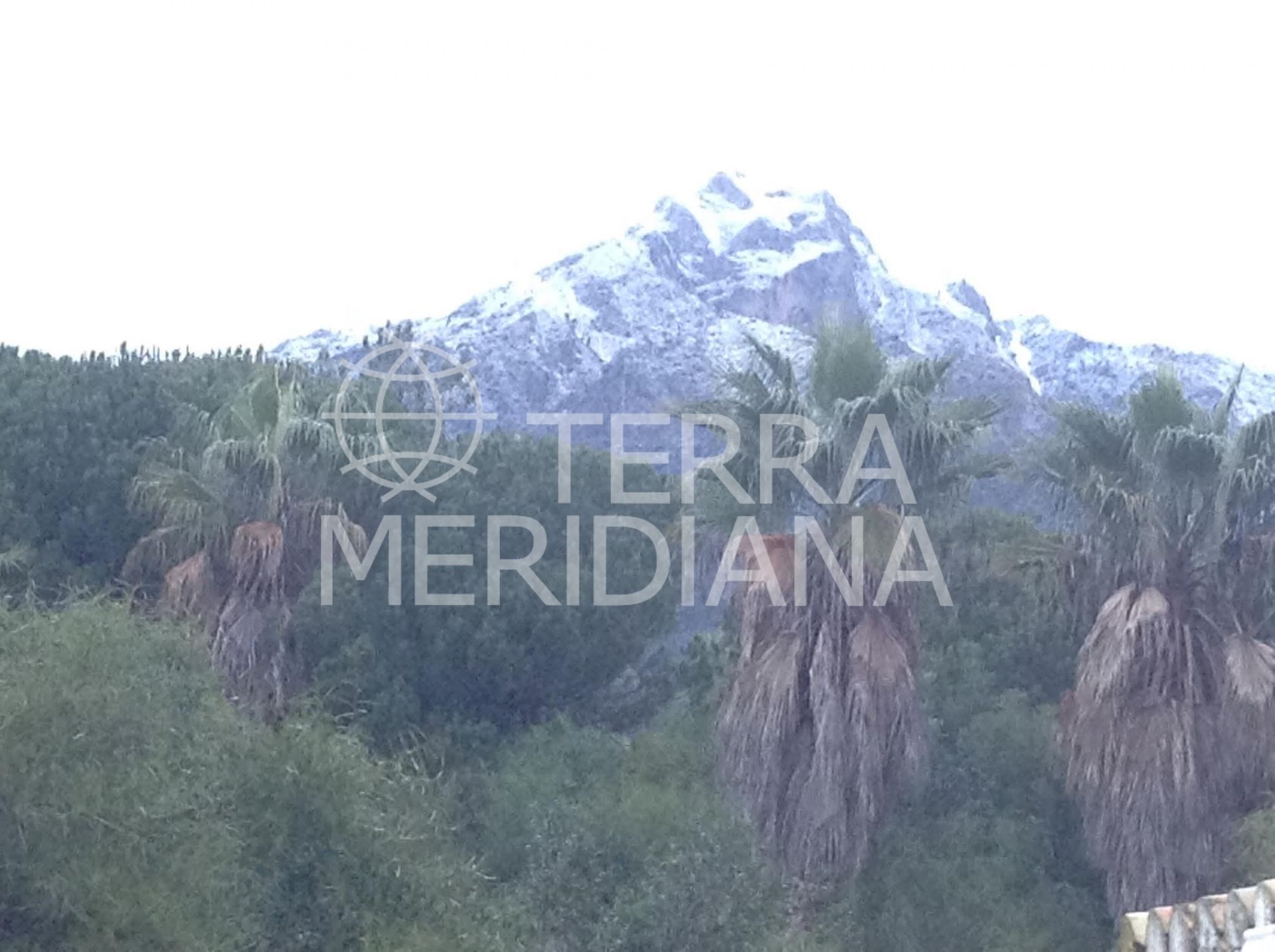 Town House in Nagüeles, Marbella