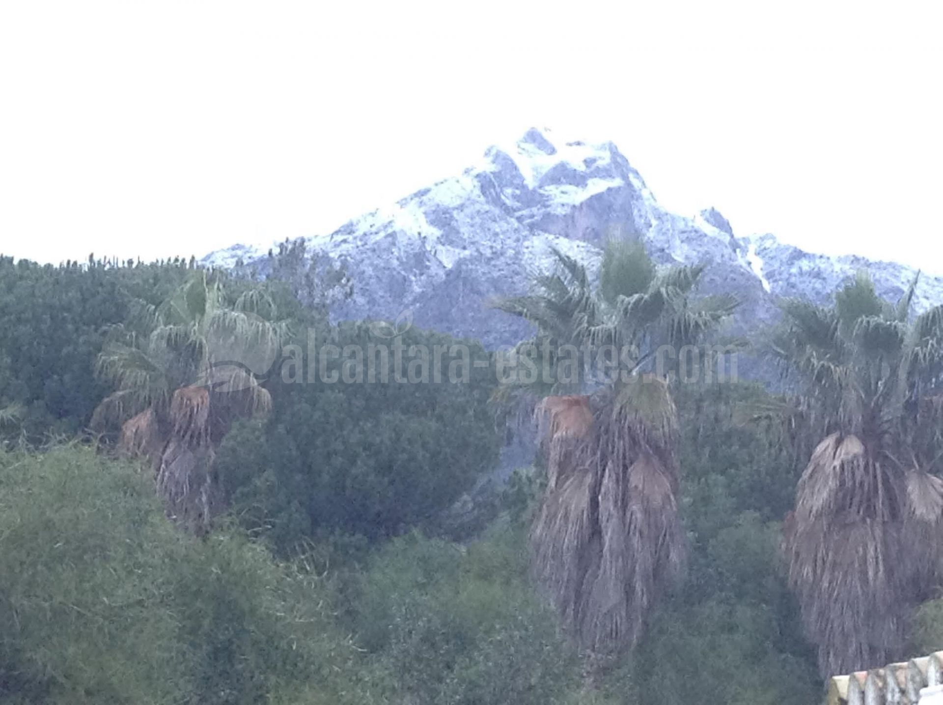 Town House in Nagüeles, Marbella