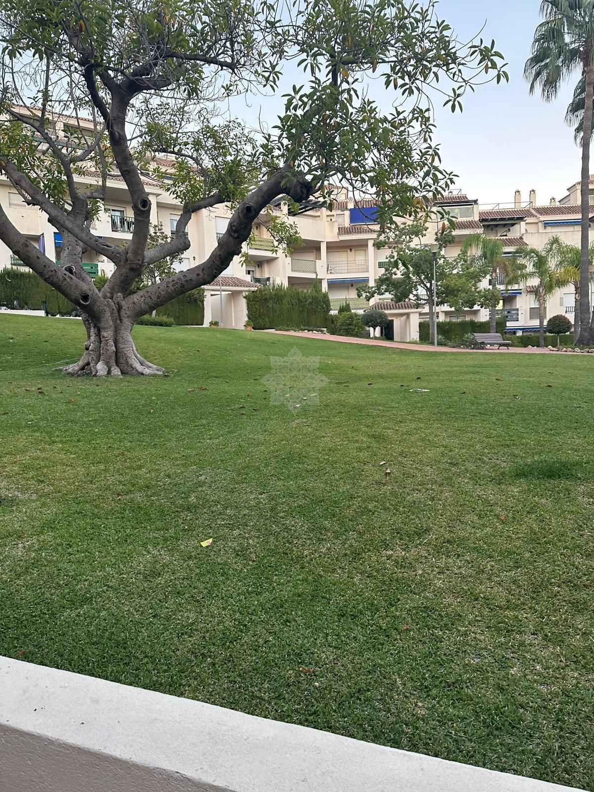 Apartamento Planta Baja en Lorcrimar, Marbella