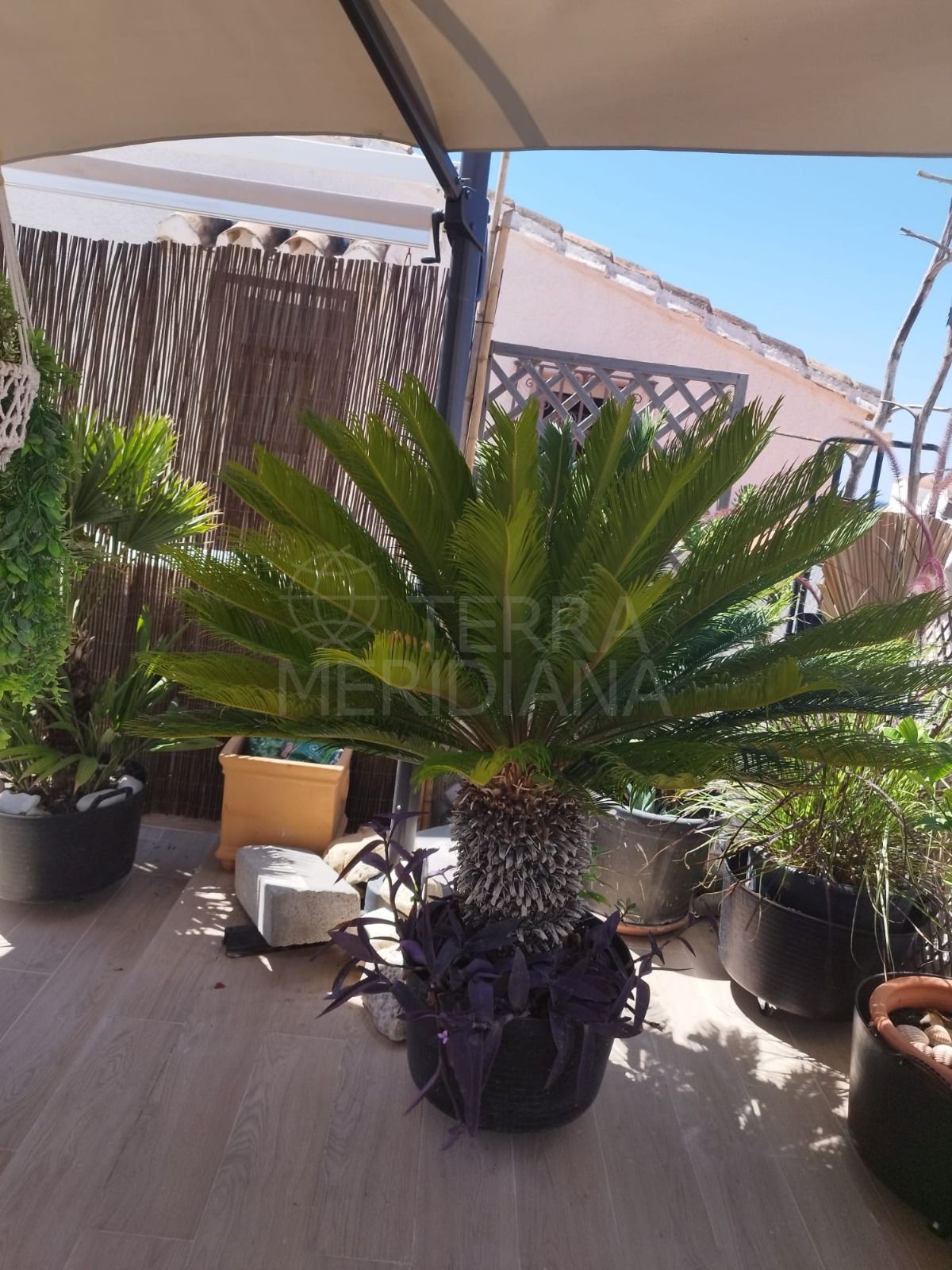 Semi Detached House in Guadalmansa Playa, Estepona