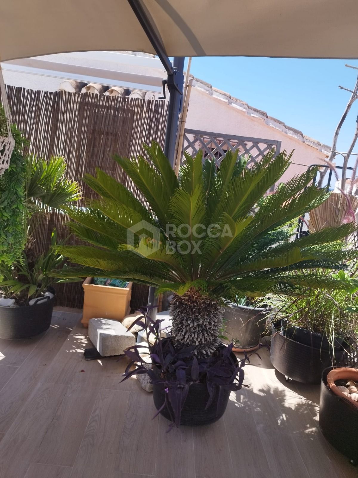 Unique Sea-View Townhouse Just 20 Meters from the Beach