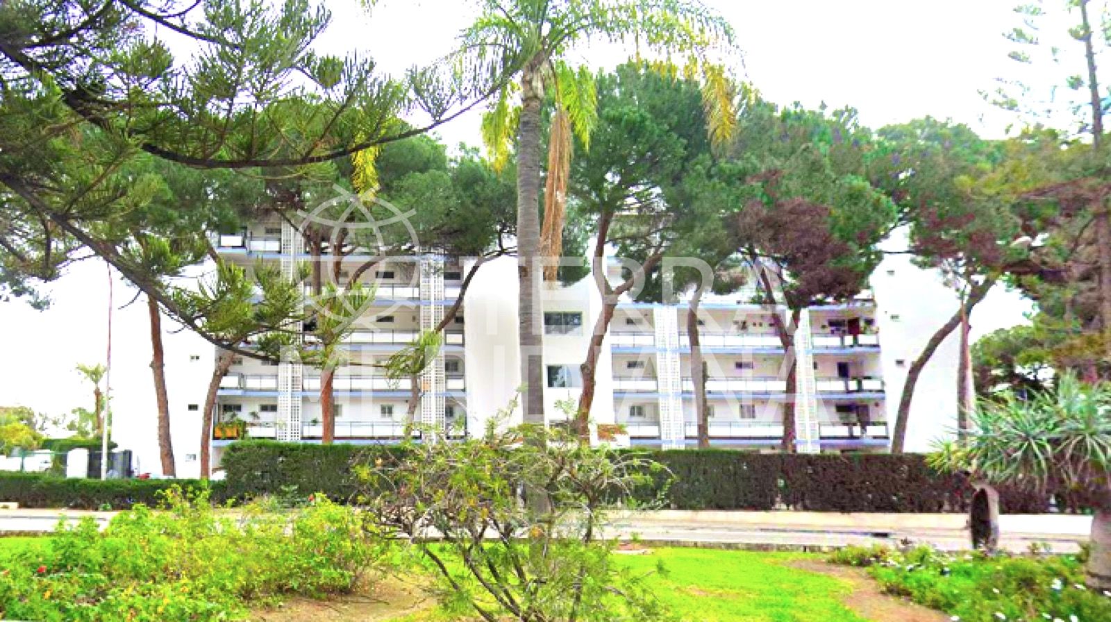 Ground Floor Apartment in Marbella Centro, Marbella