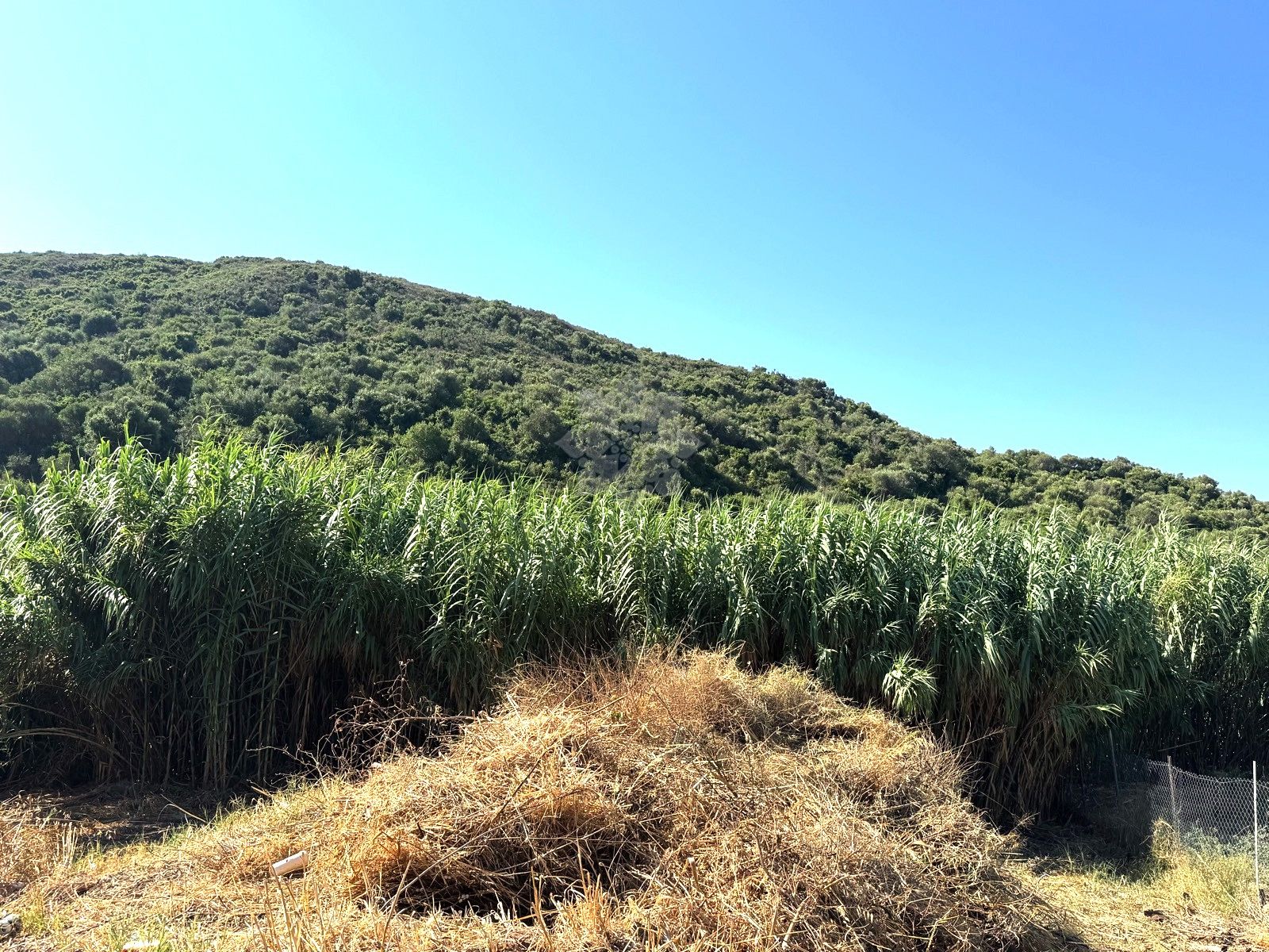 Adosado en San Enrique de Guadiaro