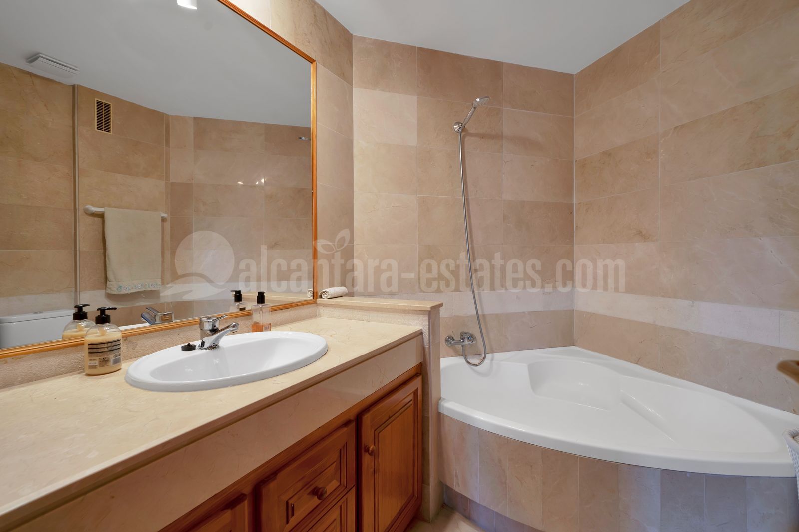 Apartment in Nueva Andalucia, Marbella