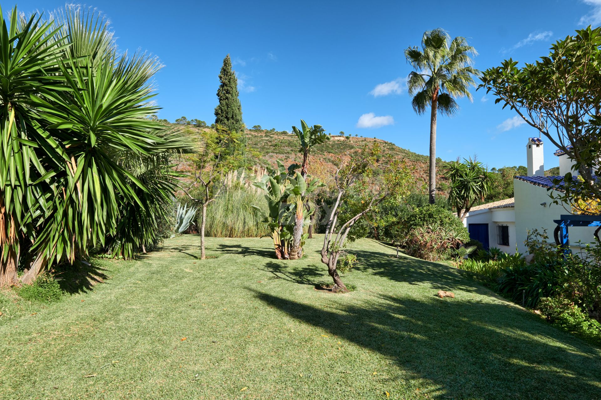 Finca for sale in Los Reales, Sierra Bermeja