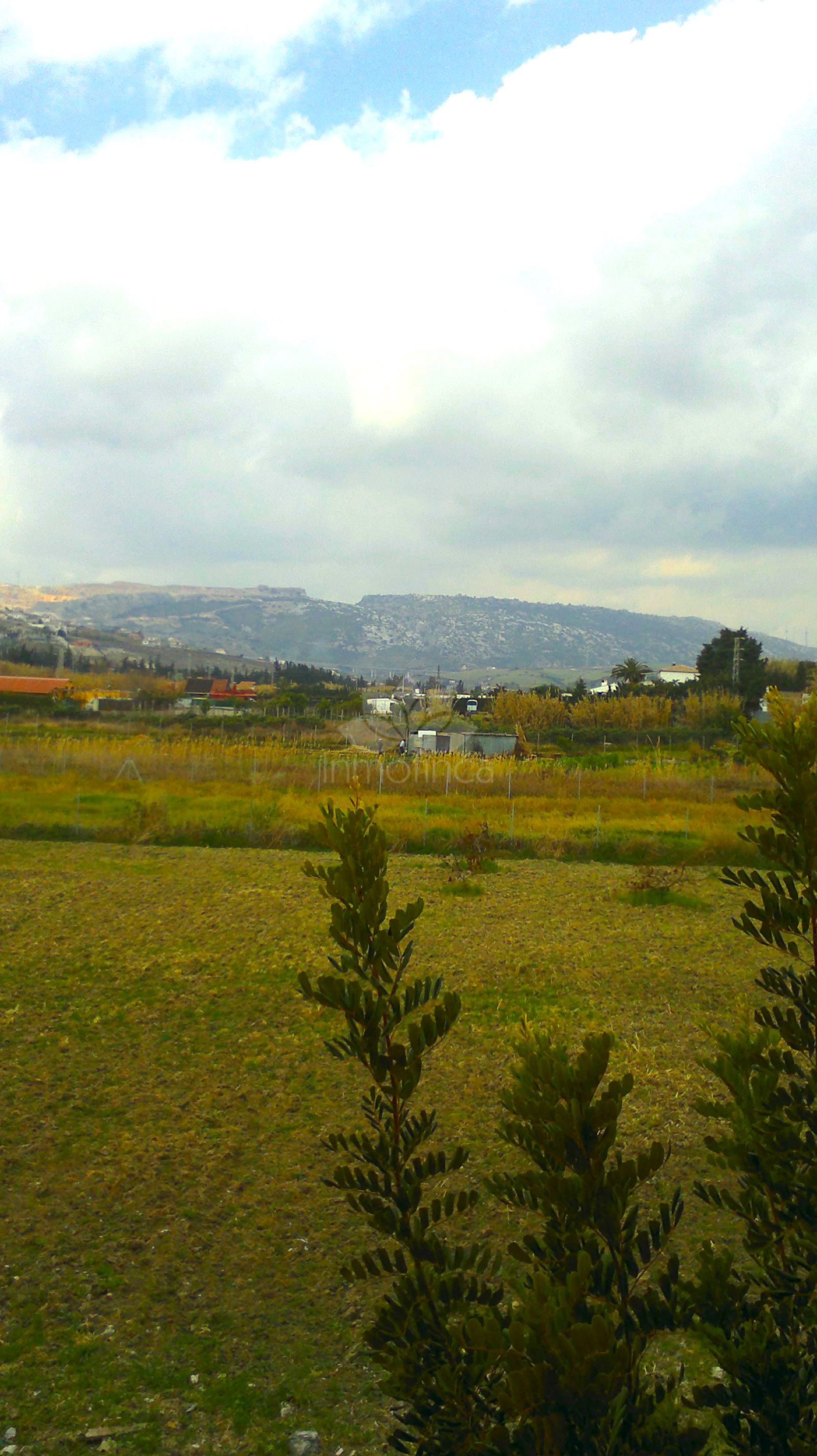 Apartment in Marina de Casares, Casares