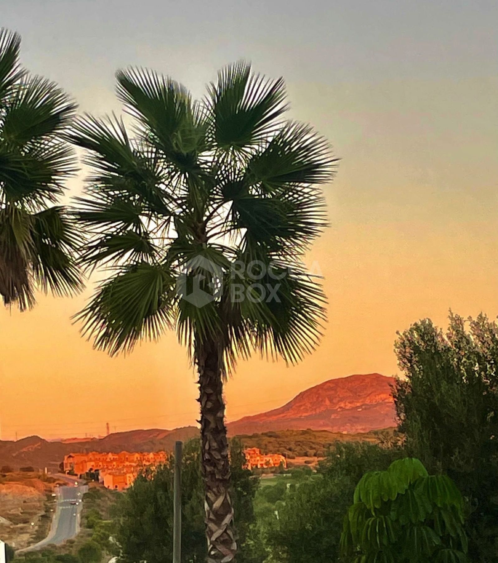 Brand New Corner Ground-Floor Apartment