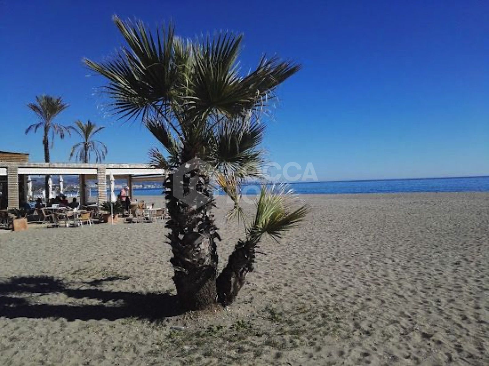 Fully Furnished Turnkey Renovated Townhouse