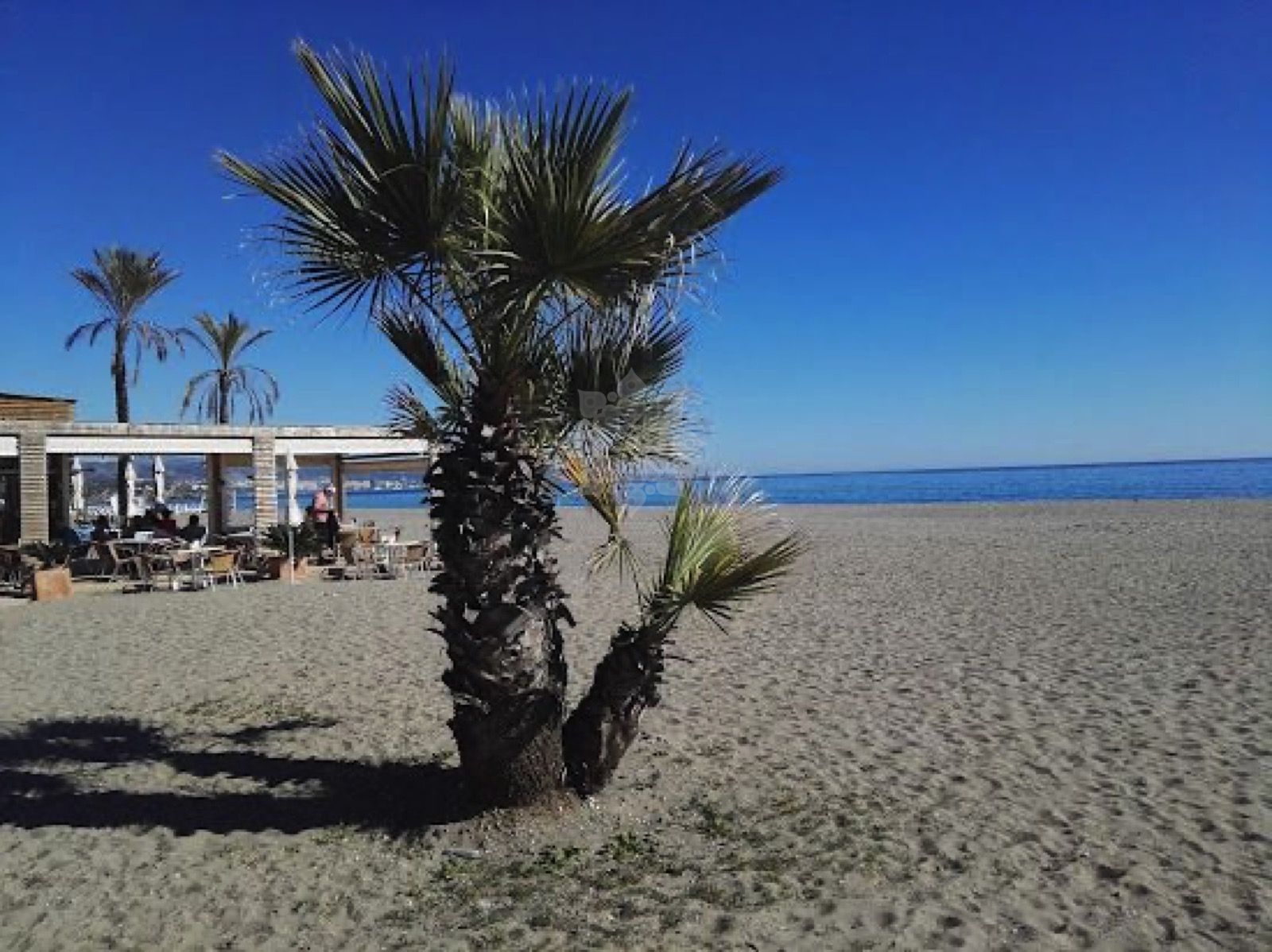 Town House in Guadalmina Baja, San Pedro de Alcantara