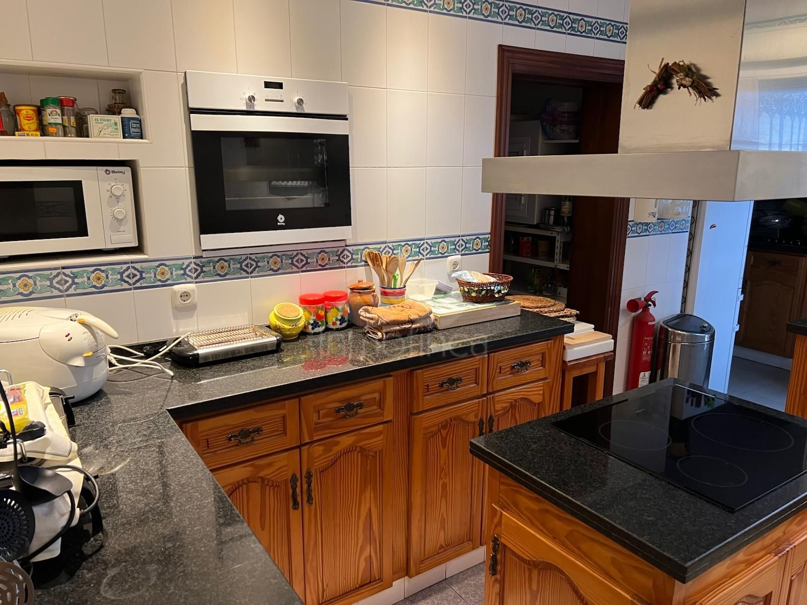 House in La Campana, Marbella