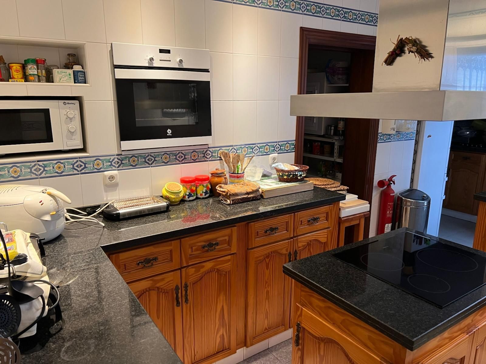 House in La Campana, Marbella