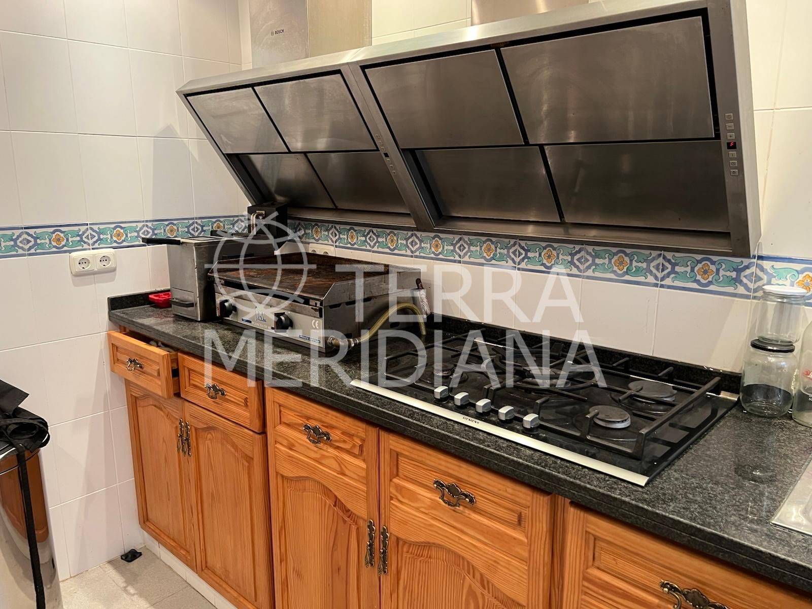 House in La Campana, Marbella