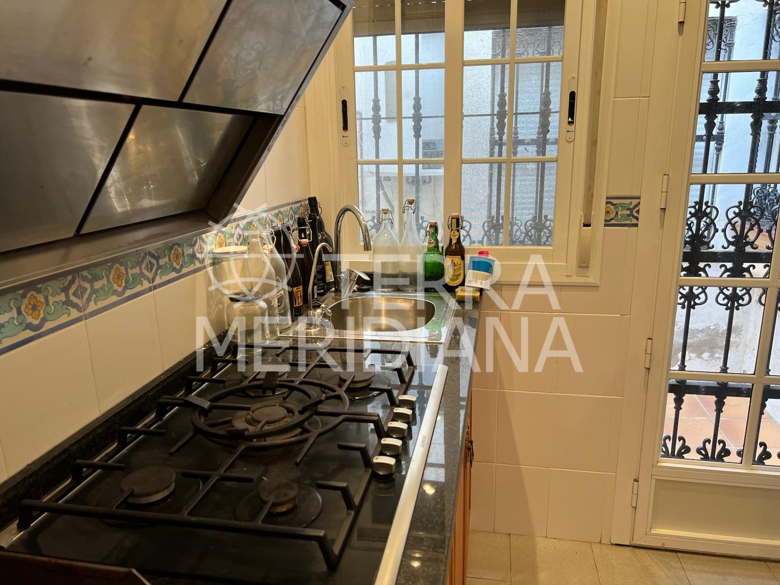 House in La Campana, Marbella