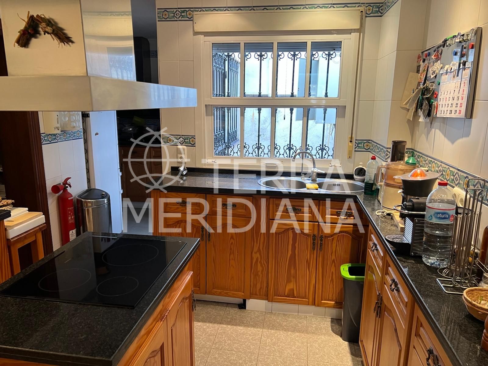 House in La Campana, Marbella