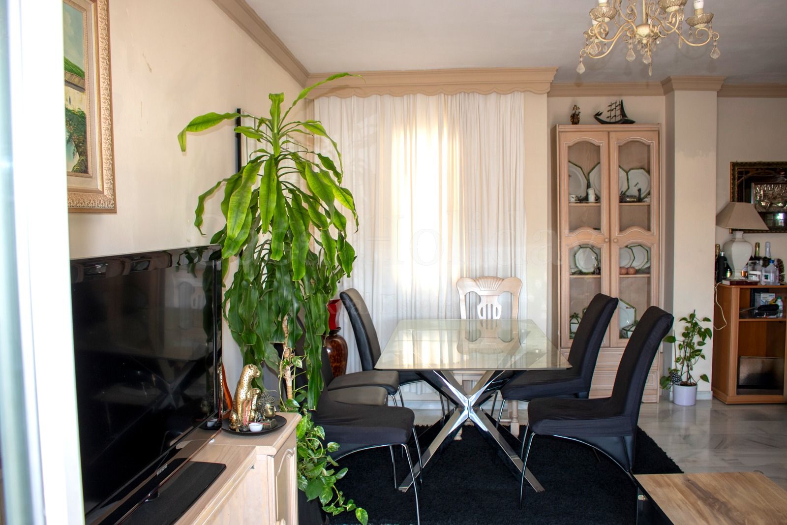 Atico Duplex en San Pedro de Alcantara