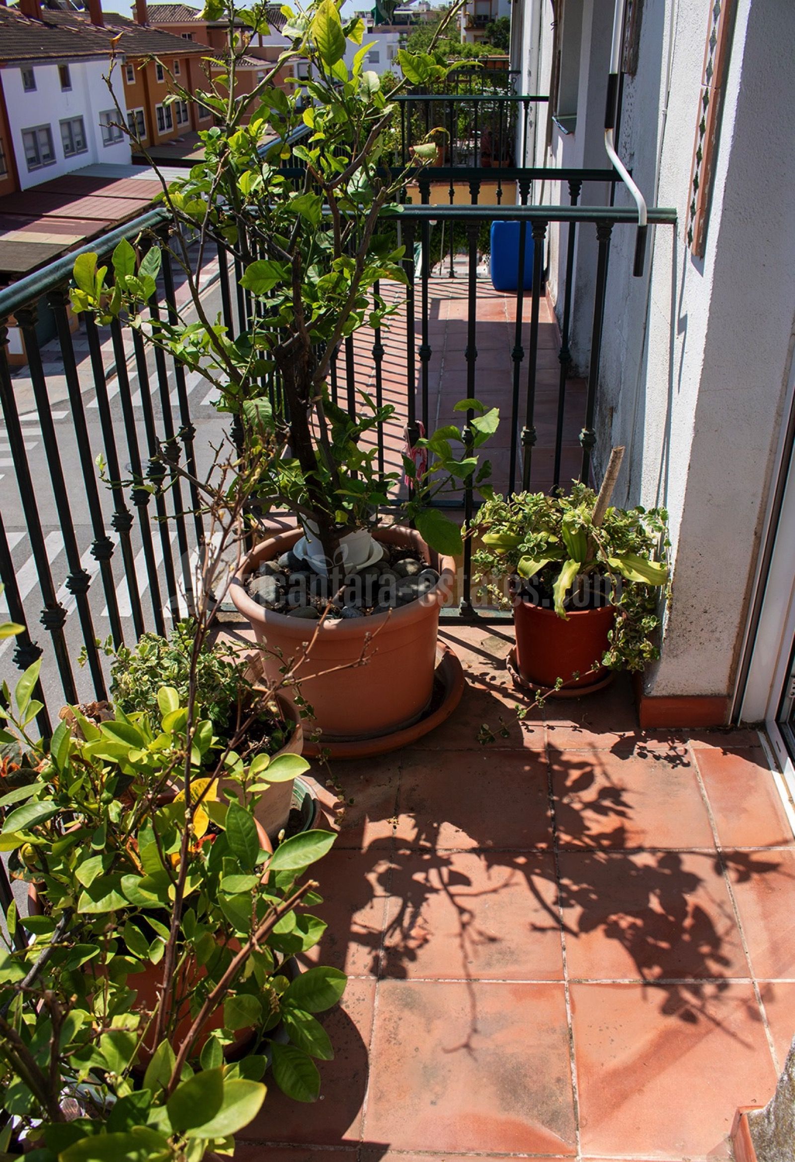 Duplex Penthouse in San Pedro de Alcantara