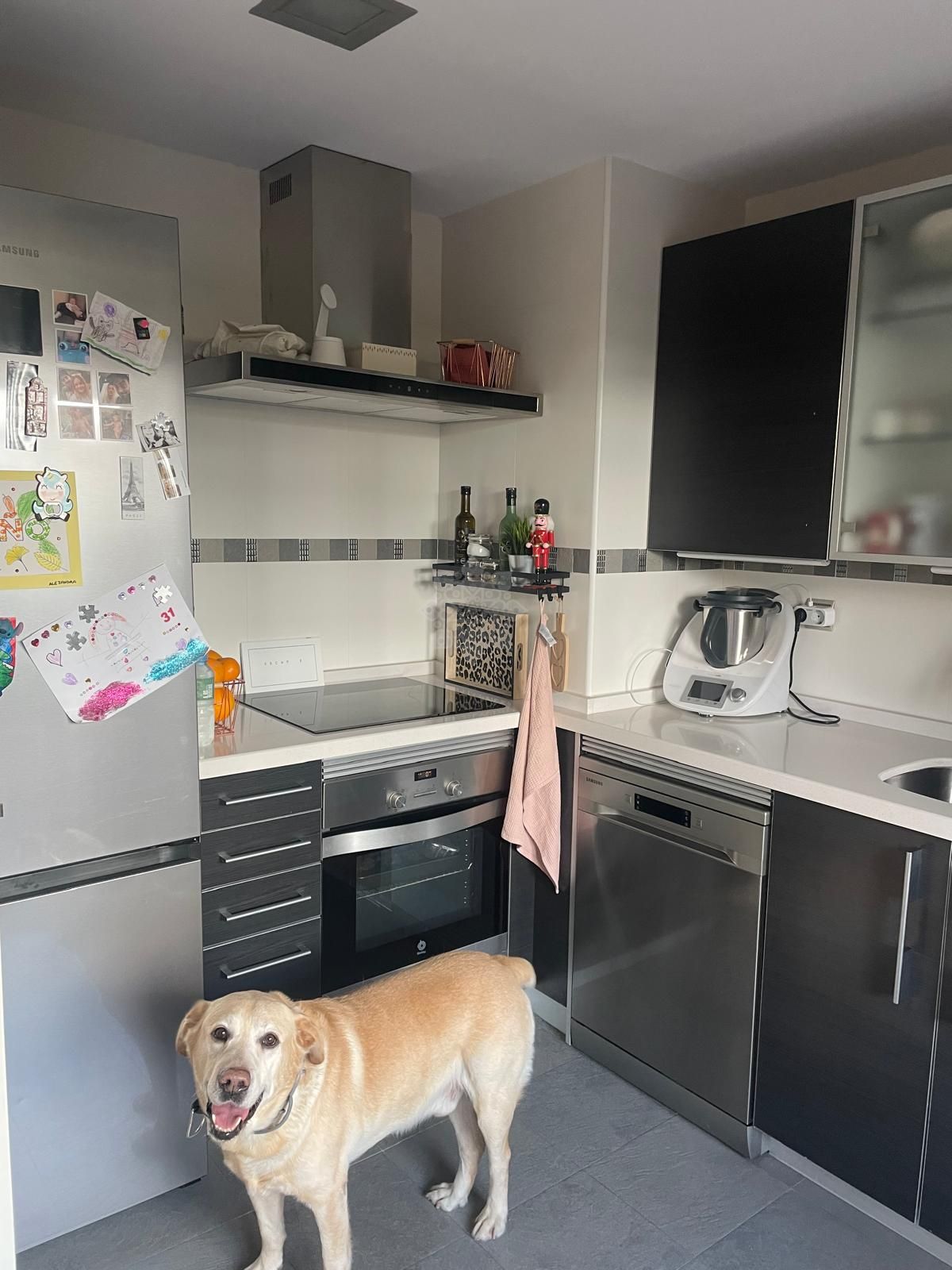 Apartamento Planta Baja en Casares Golf, Casares