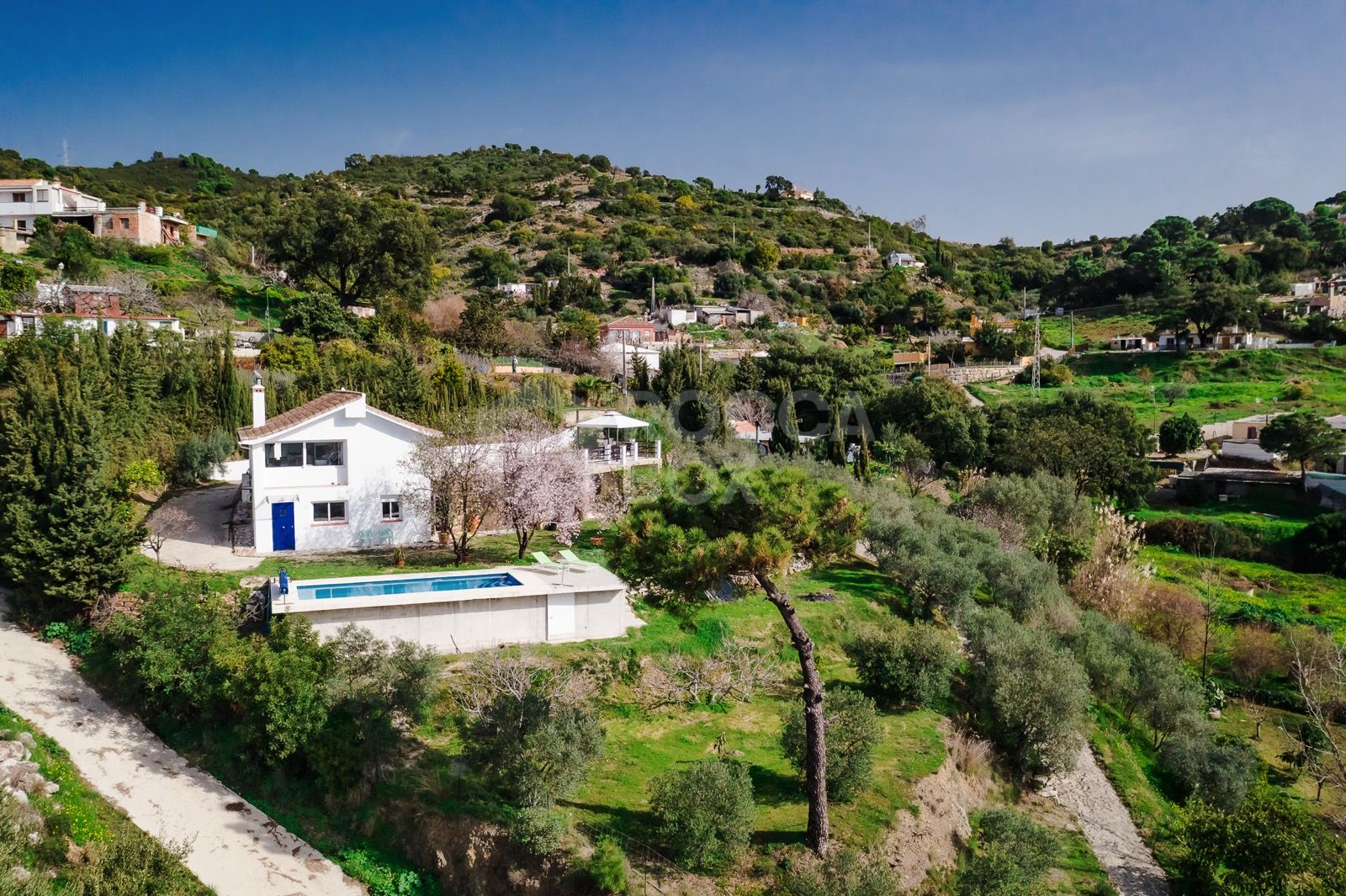 Idyllic Olive Grove Finca with Panoramic Views