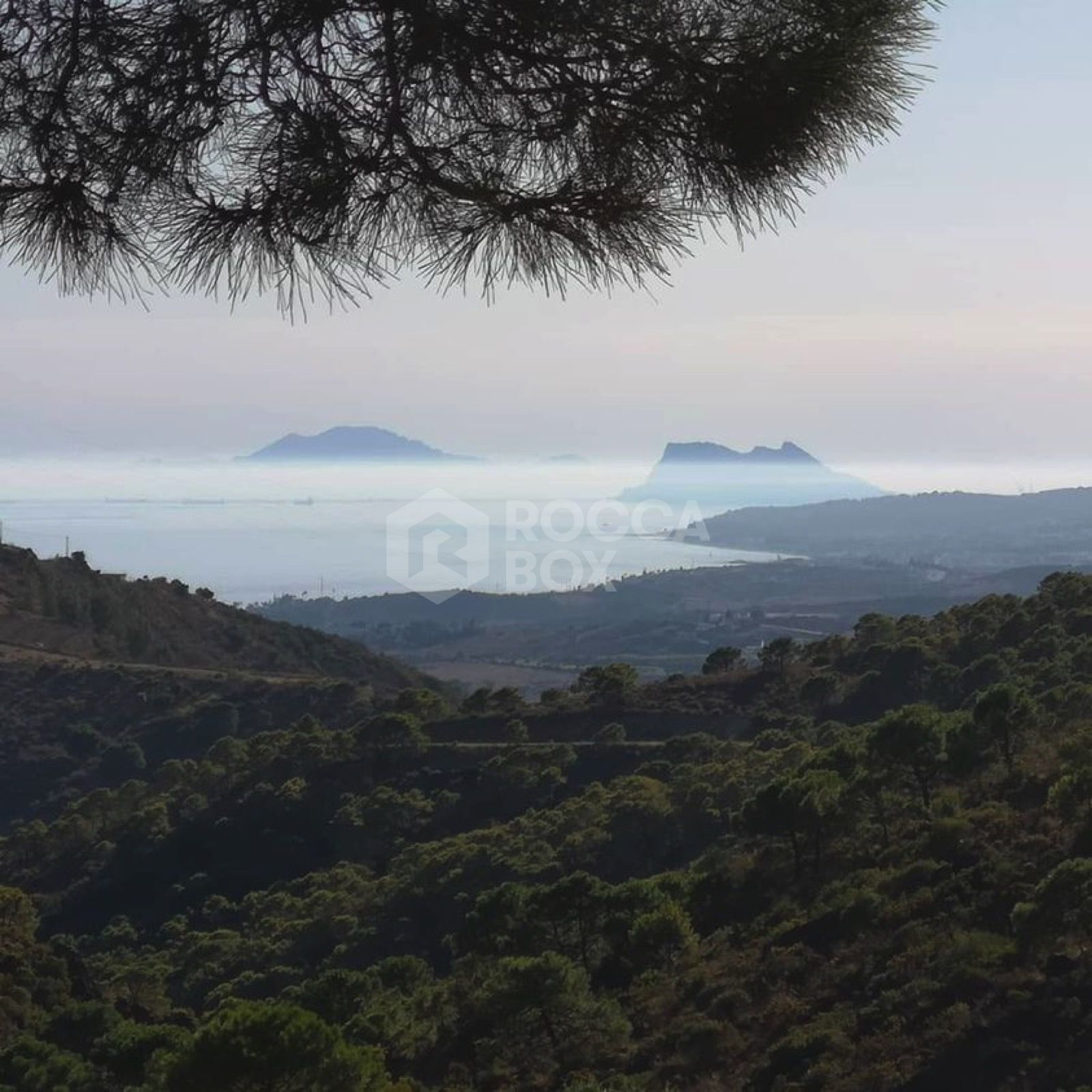 Idyllic Olive Grove Finca with Panoramic Views