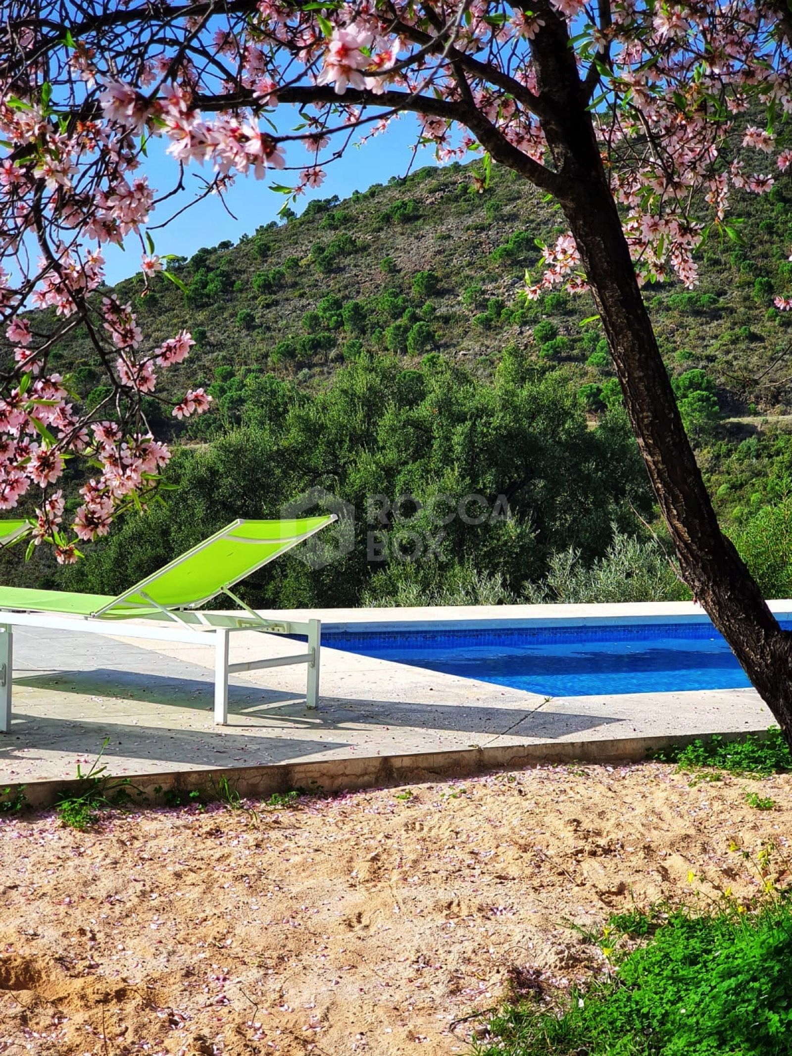 Idyllic Olive Grove Finca with Panoramic Views