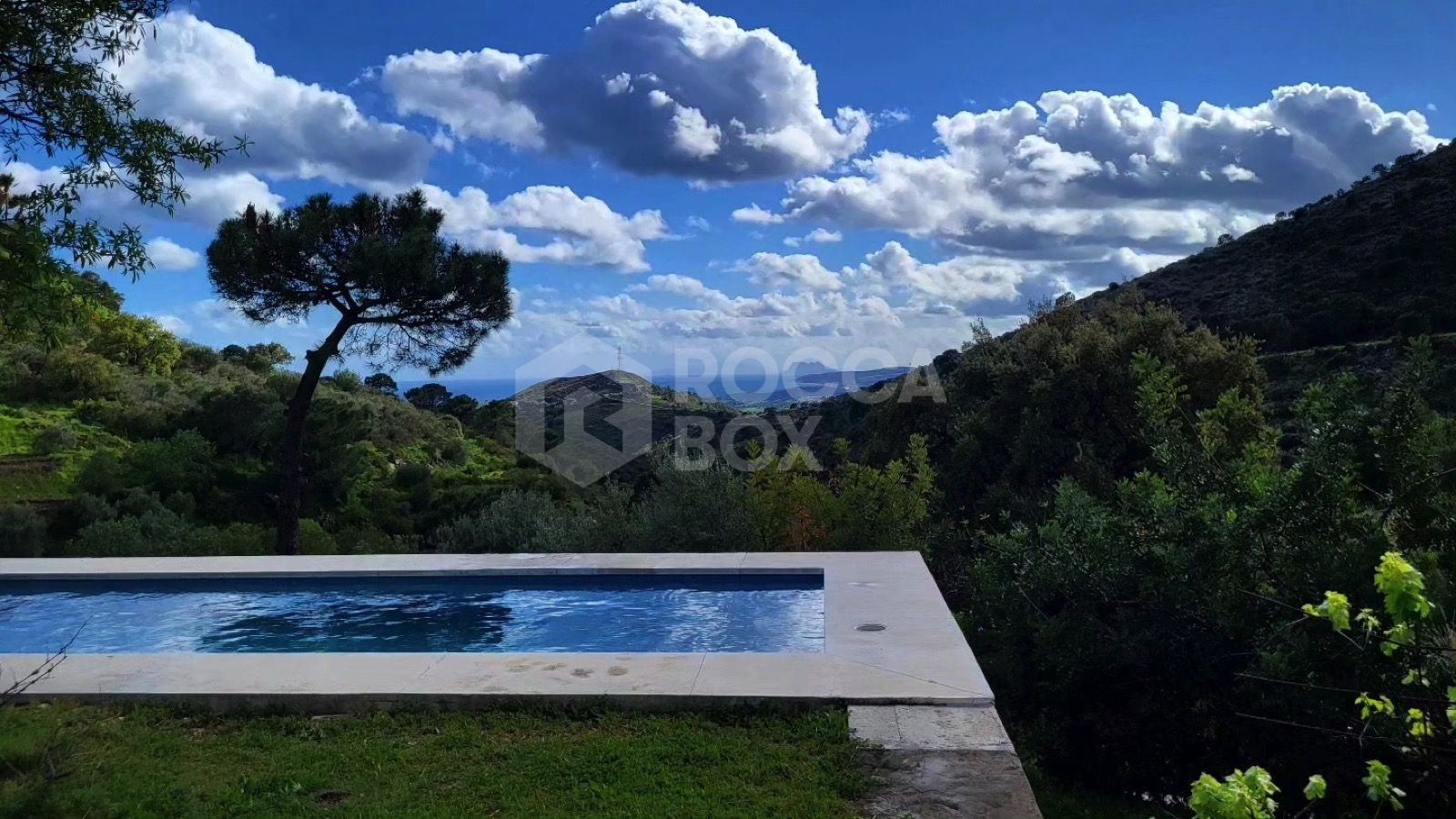 Idyllic Olive Grove Finca with Panoramic Views