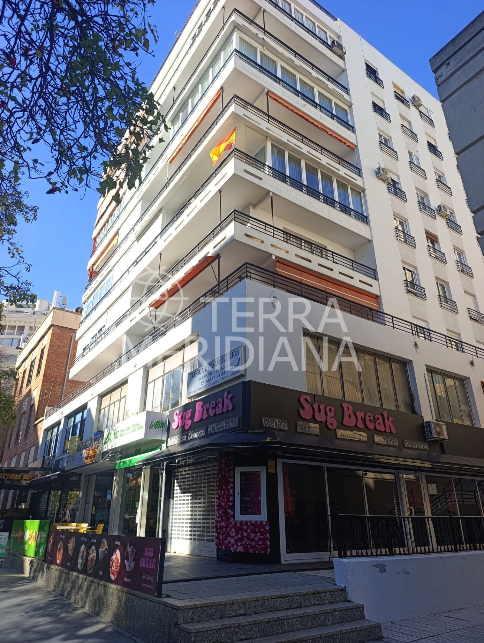 Apartment in Ricardo Soriano, Marbella