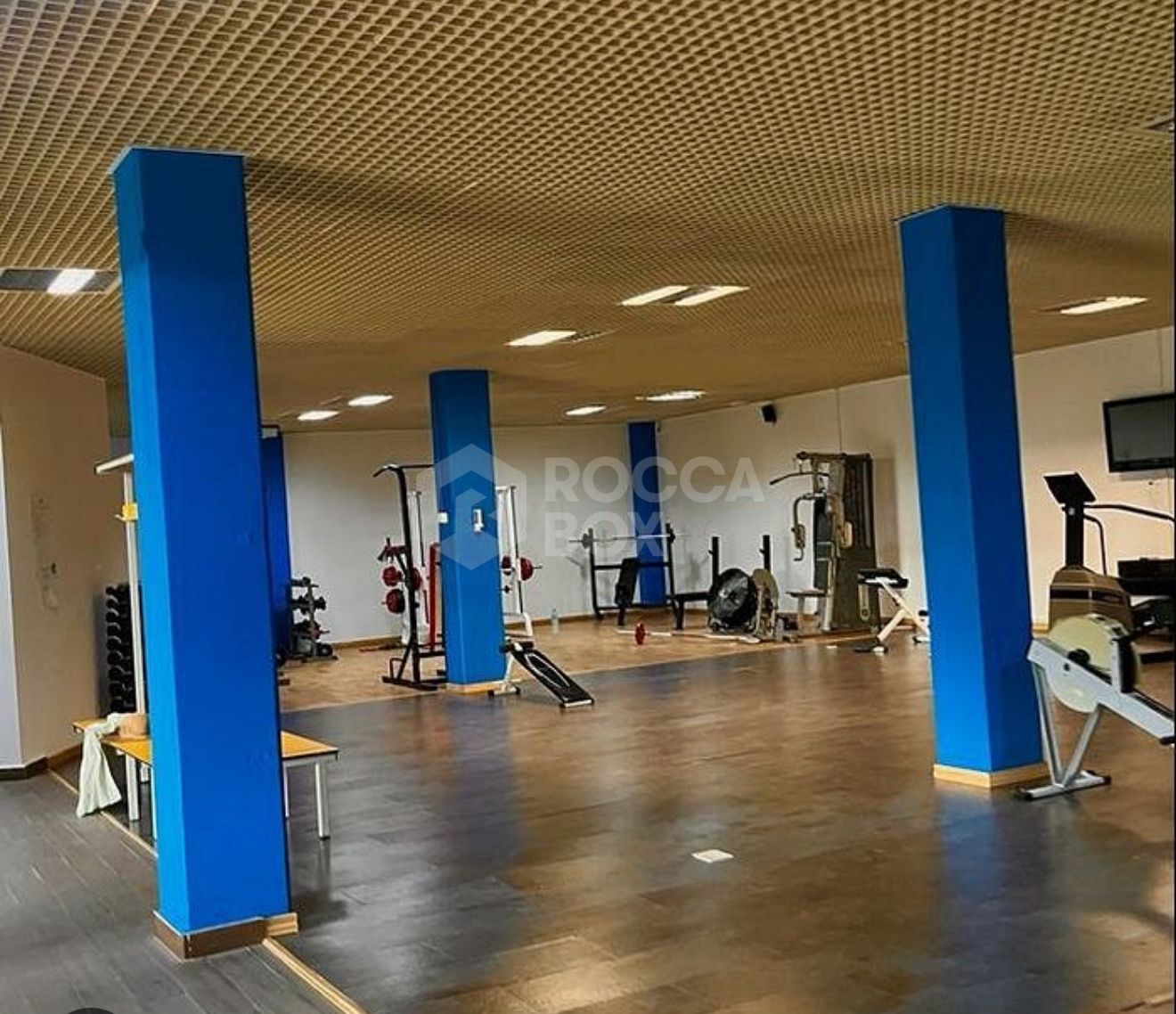 Elegant Renovated Apartment in Parque Botánico