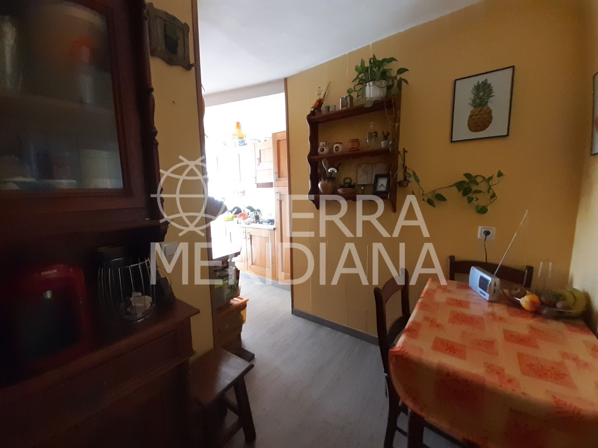 Penthouse in Marbella