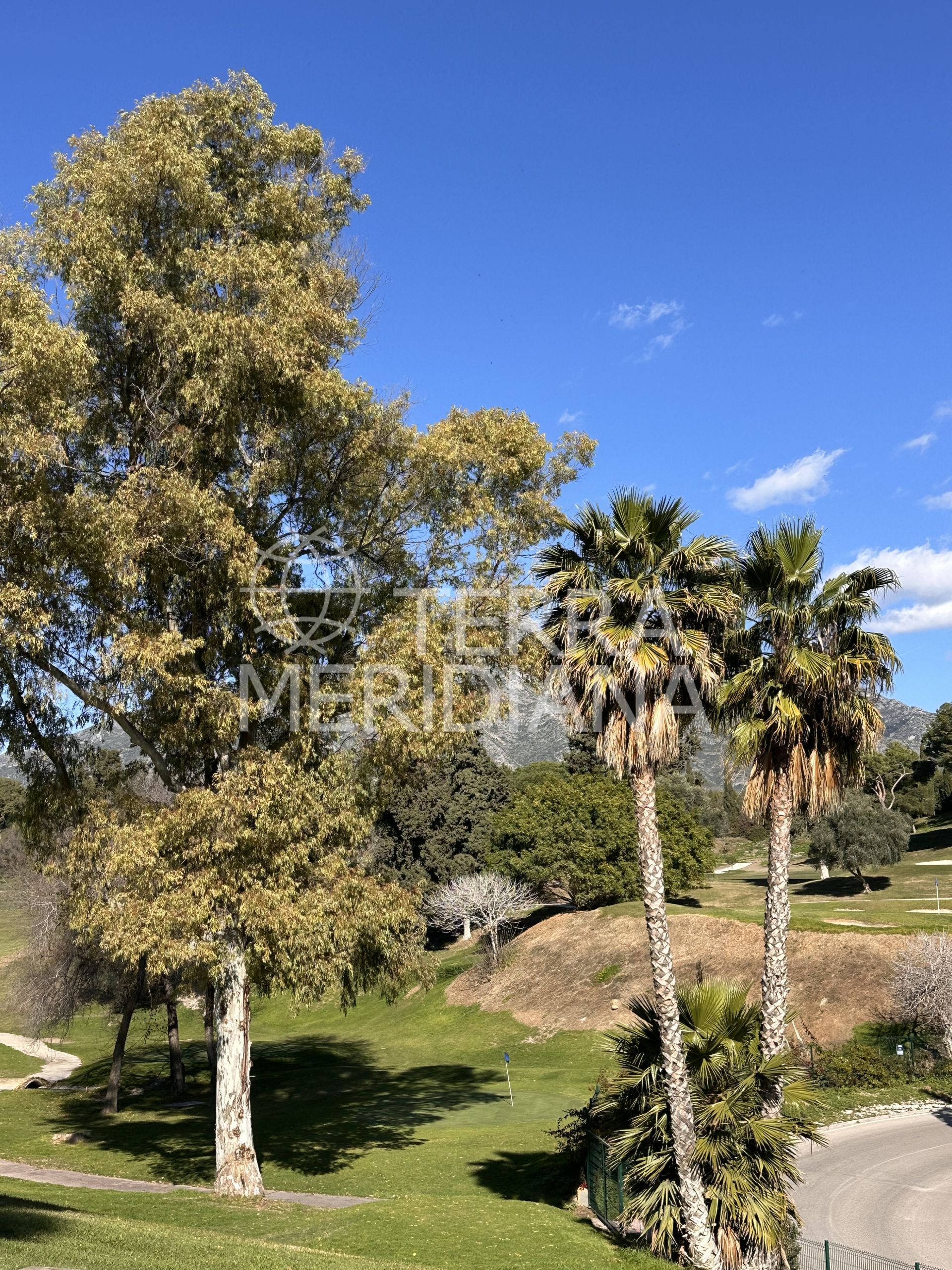 Town House in Nueva Andalucia, Marbella